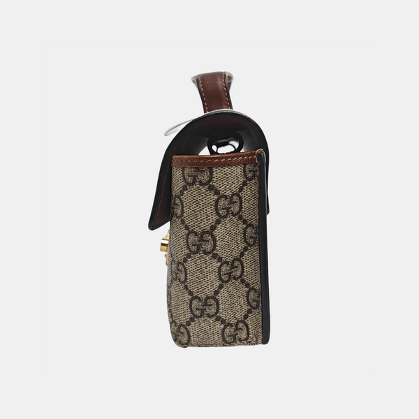 Padlock Mini Monogram Coated Canvas Multicolor