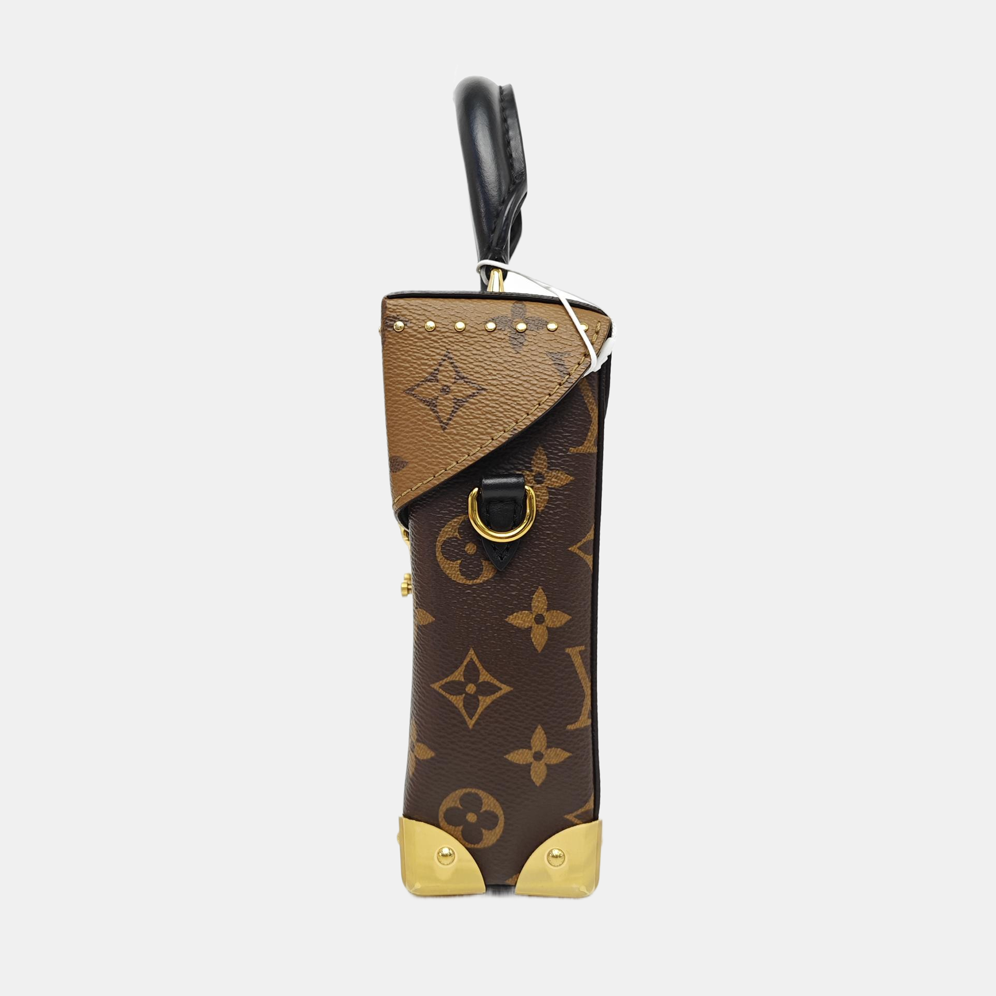 CAMERA BOX Monogram Coated Canvas Brown
