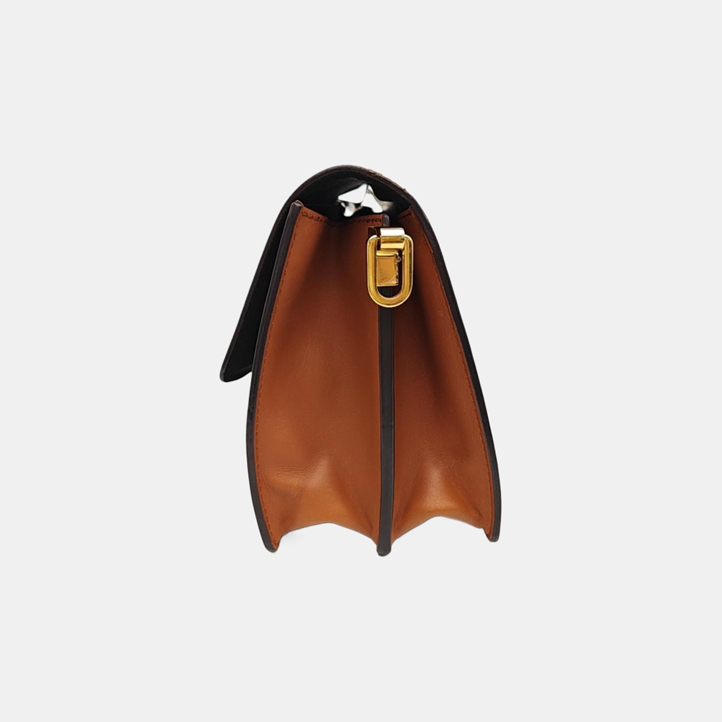 DAUPHINE MM Monogram Coated Canvas Brown