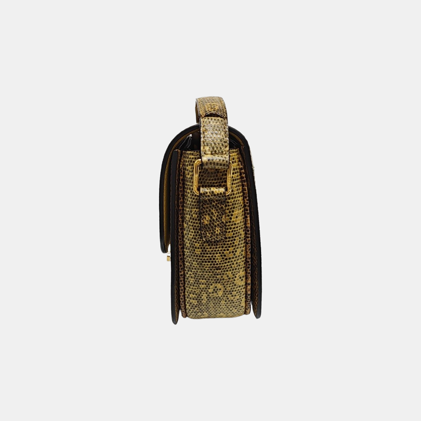 TRIOMPHE Small Lizard Brown