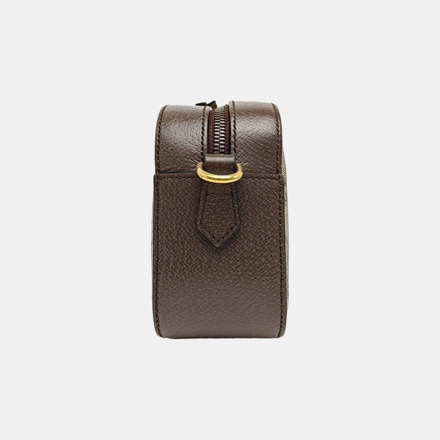 Neo Vintage Monogram Coated Canvas Beige