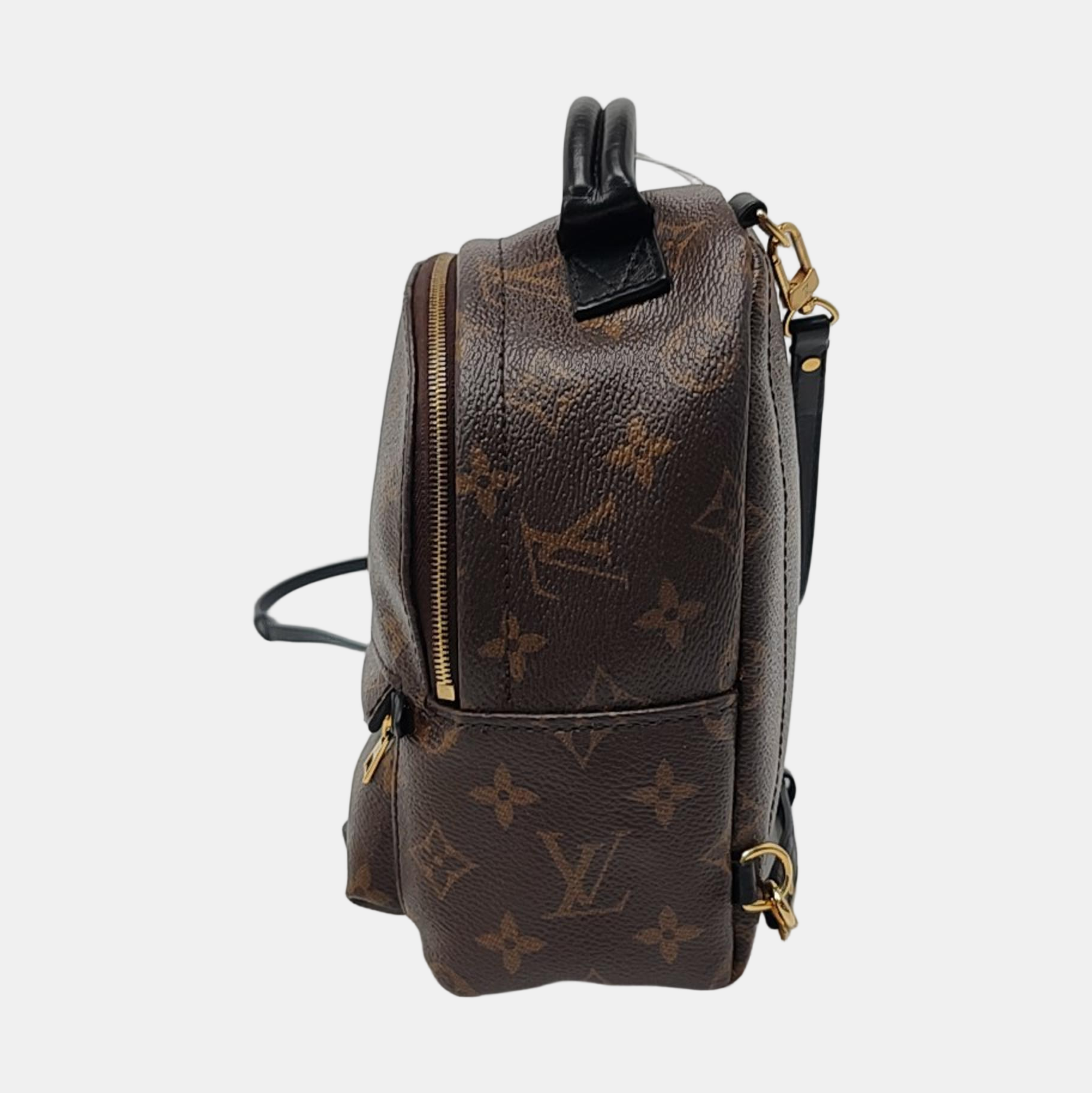 PALM SPRINGS Mini Monogram Coated Canvas Brown
