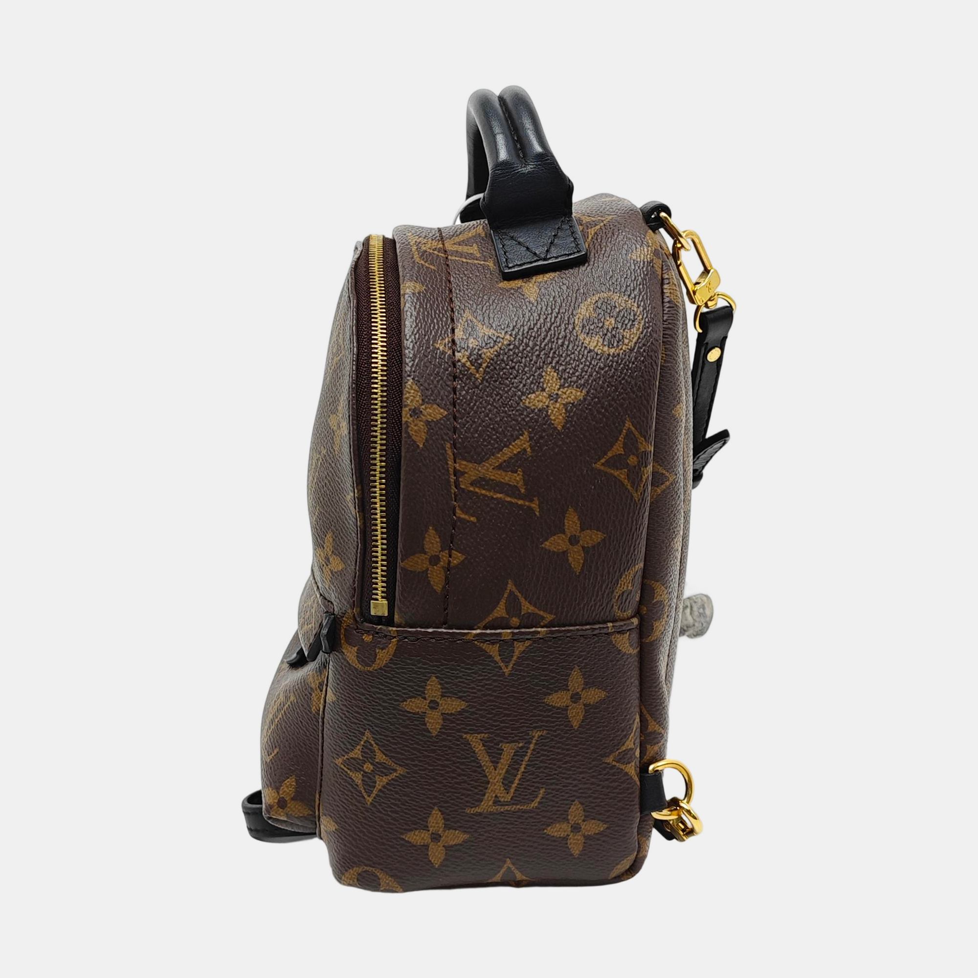 PALM SPRINGS Mini Monogram Coated Canvas Brown