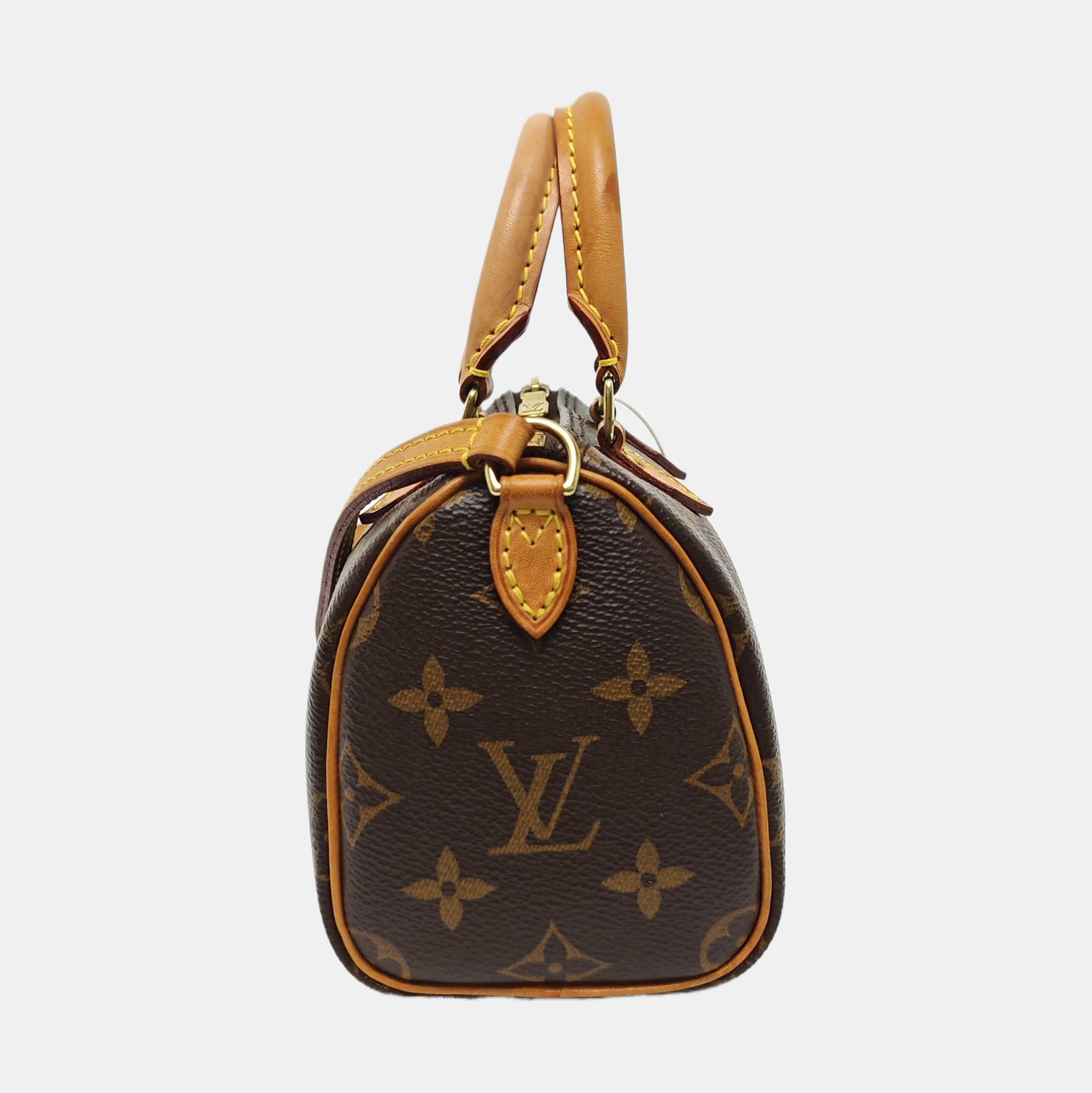 SPEEDY Nano Monogram Coated Canvas Brown