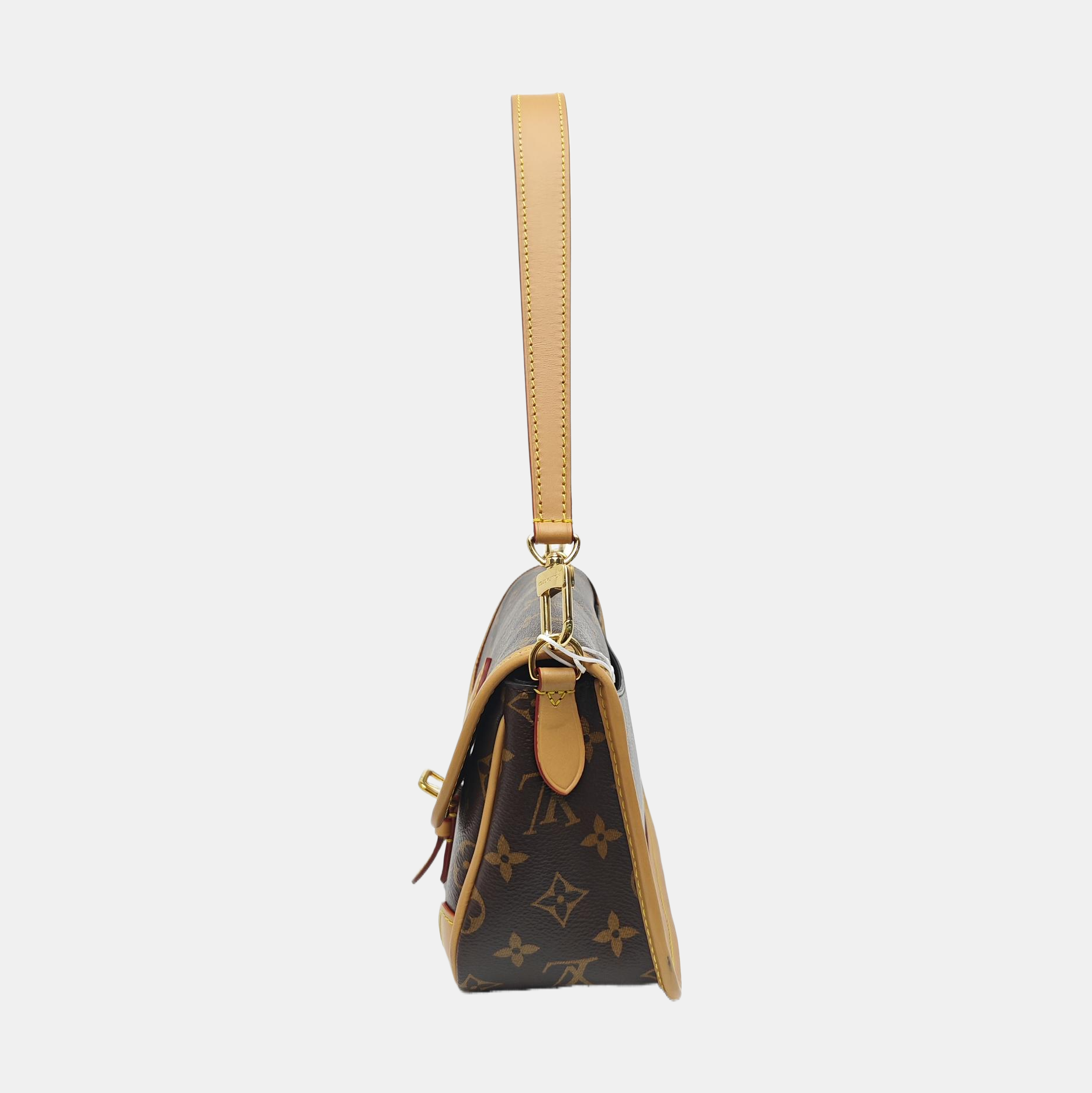 DIANE Monogram Coated Canvas Brown