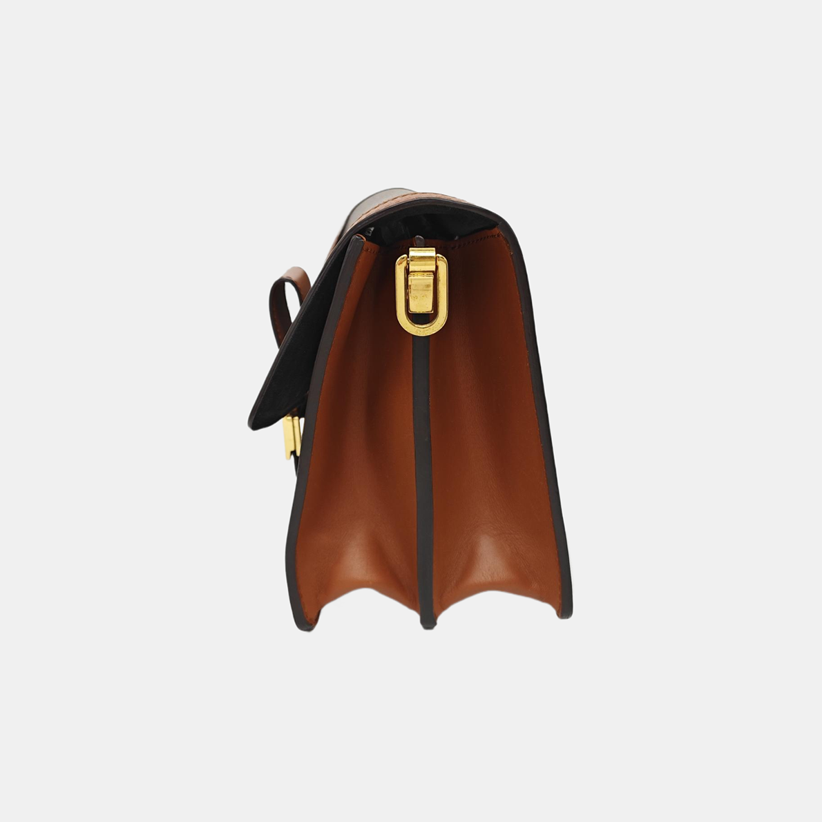 DAUPHINE MM Monogram Coated Canvas Brown
