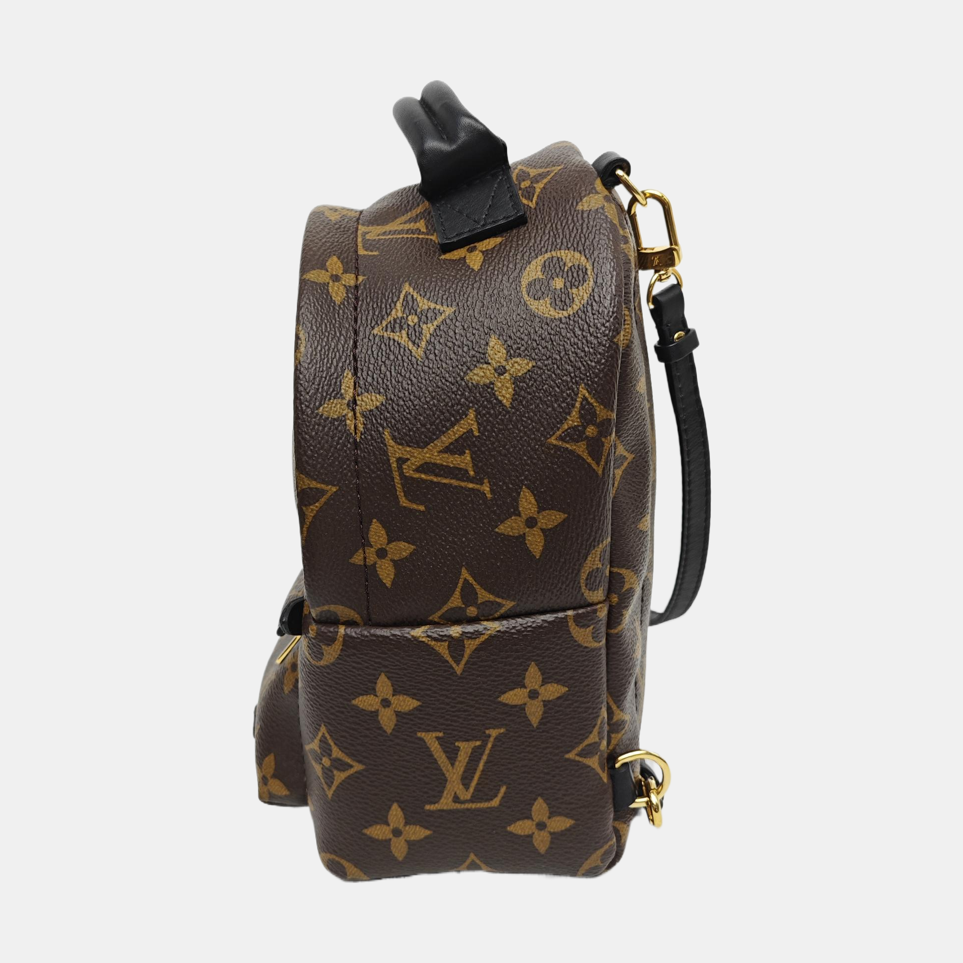 PALM SPRINGS Mini Monogram Coated Canvas Brown