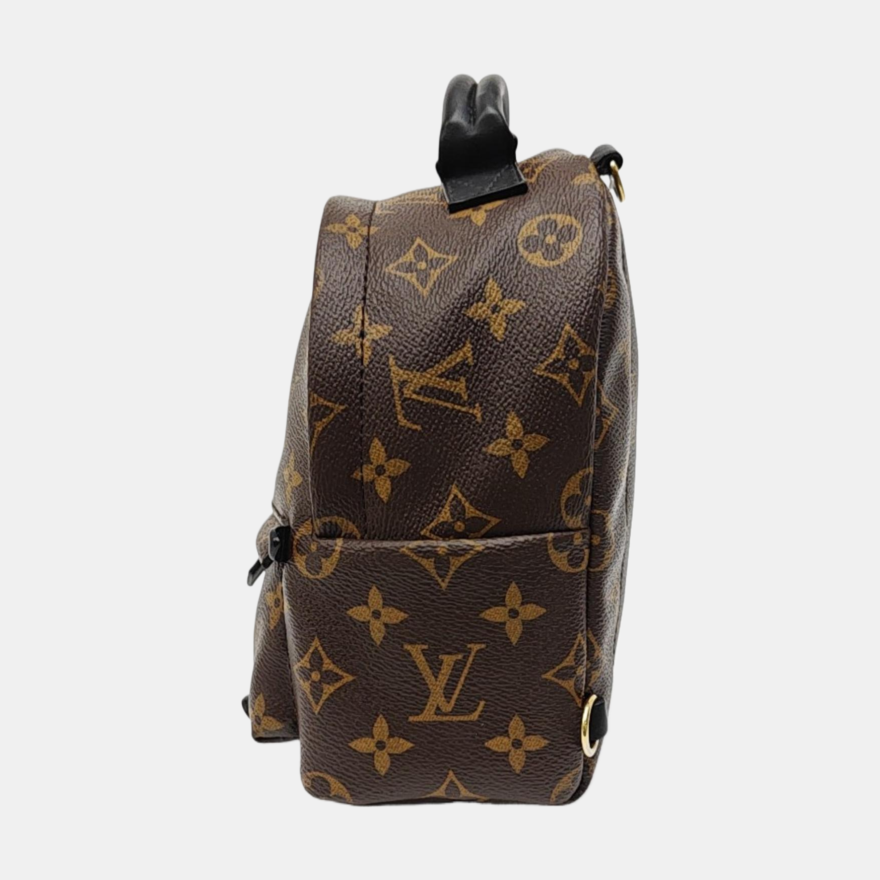 PALM SPRINGS Mini Monogram Coated Canvas Brown