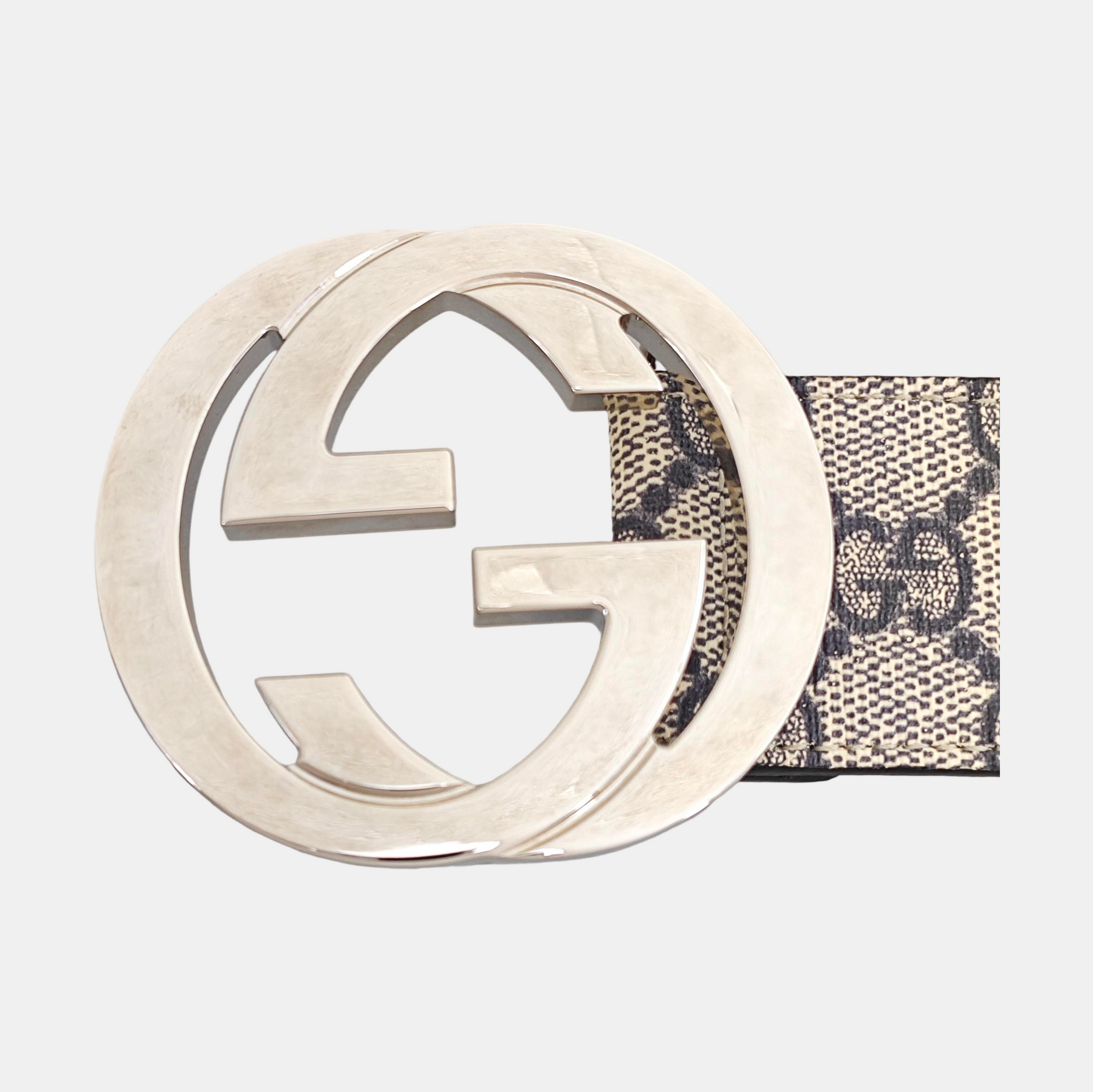 Coated Canvas Belt White
