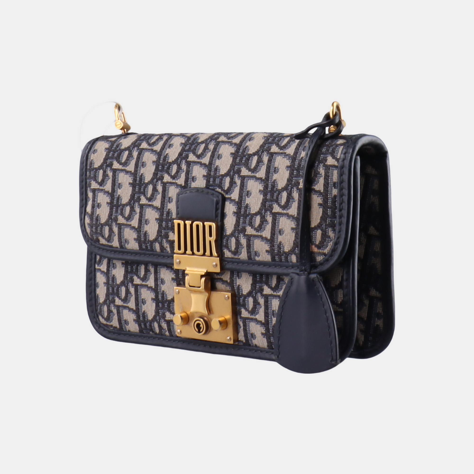 Dioraddict Oblique Canvas Blue