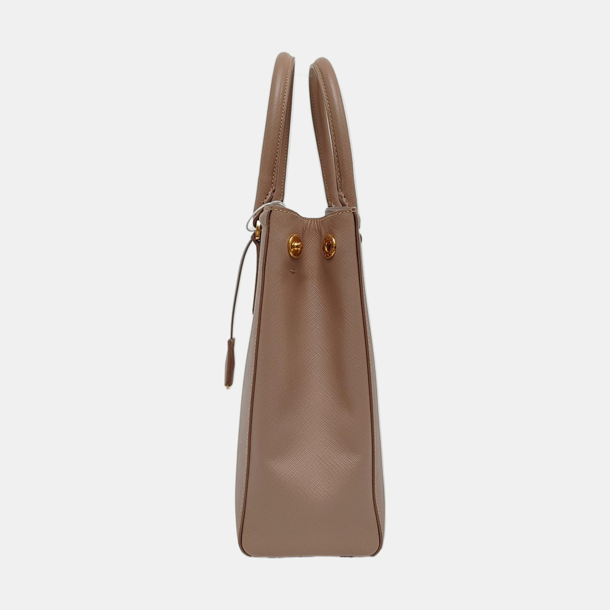 Parabole Saffiano Calfskin Pink