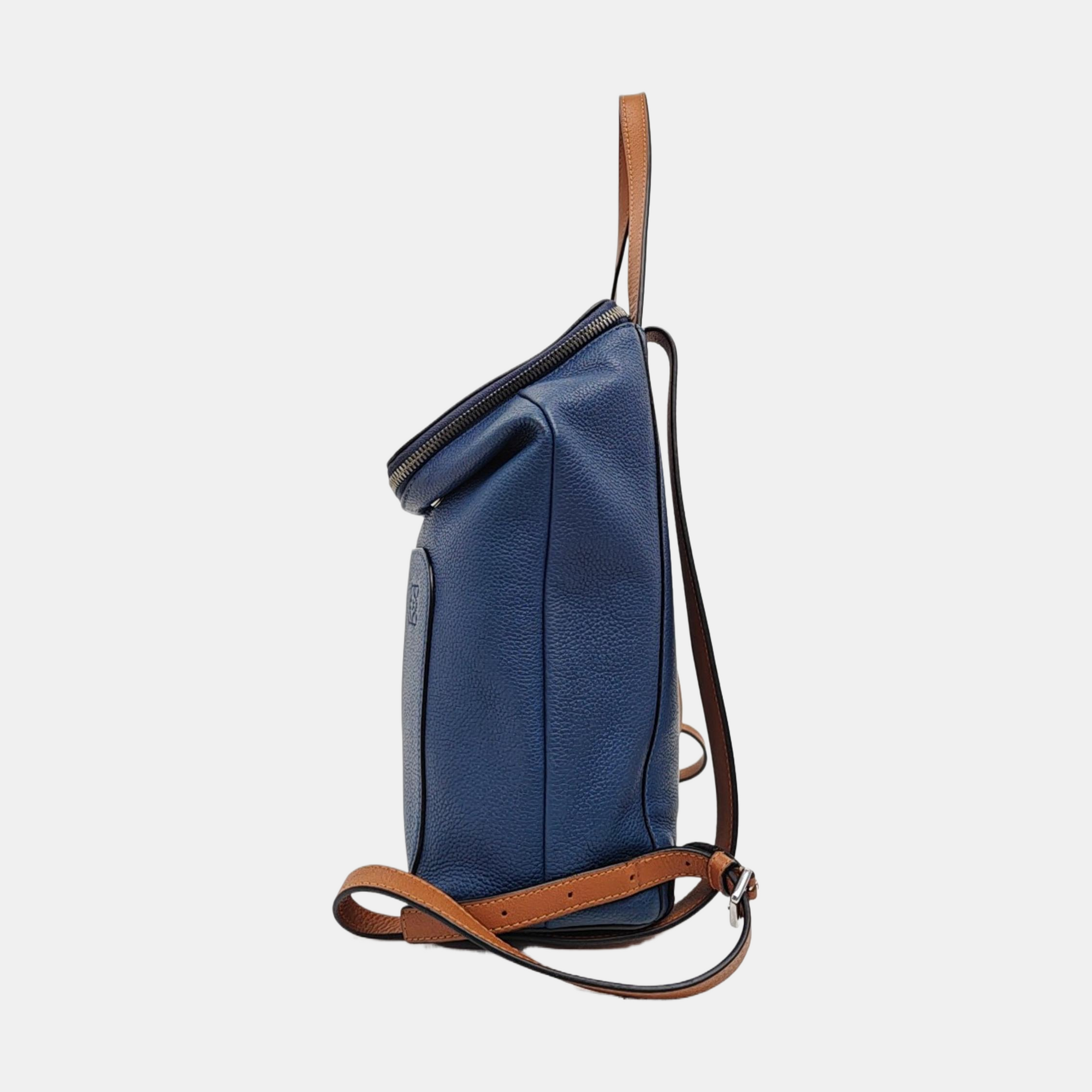 Goya Small Calfskin Blue