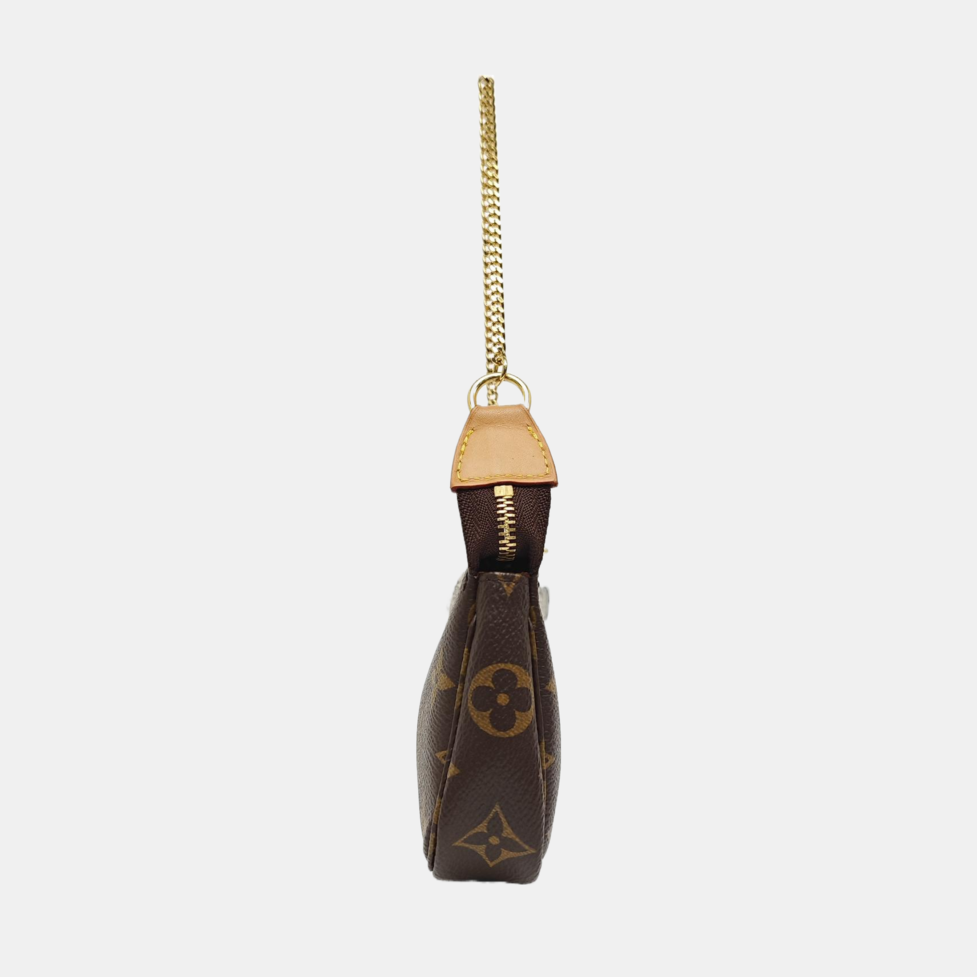 ACCESSOIRES Mini Monogram Coated Canvas Brown
