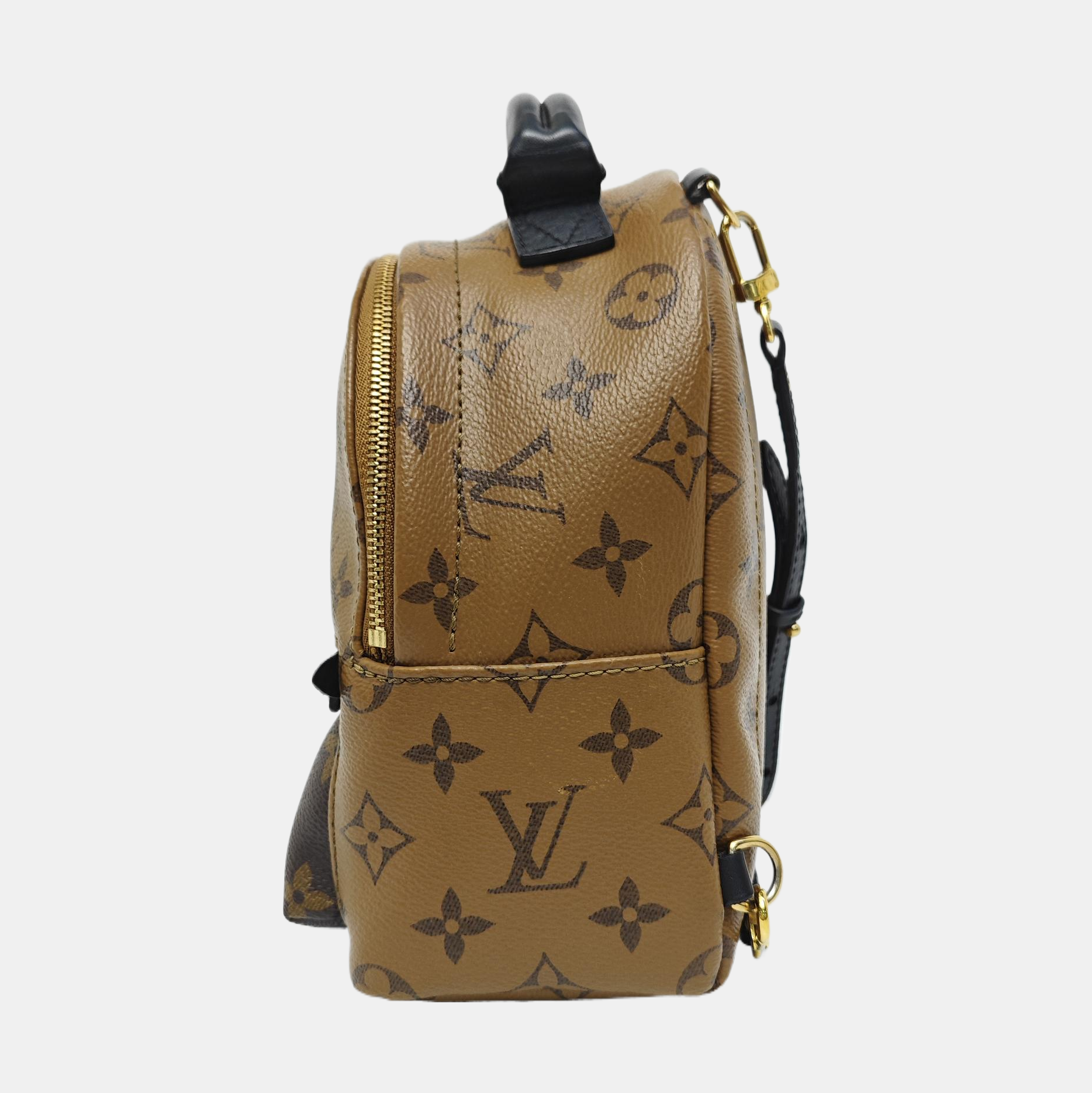 PALM SPRINGS Mini Monogram Coated Canvas Brown