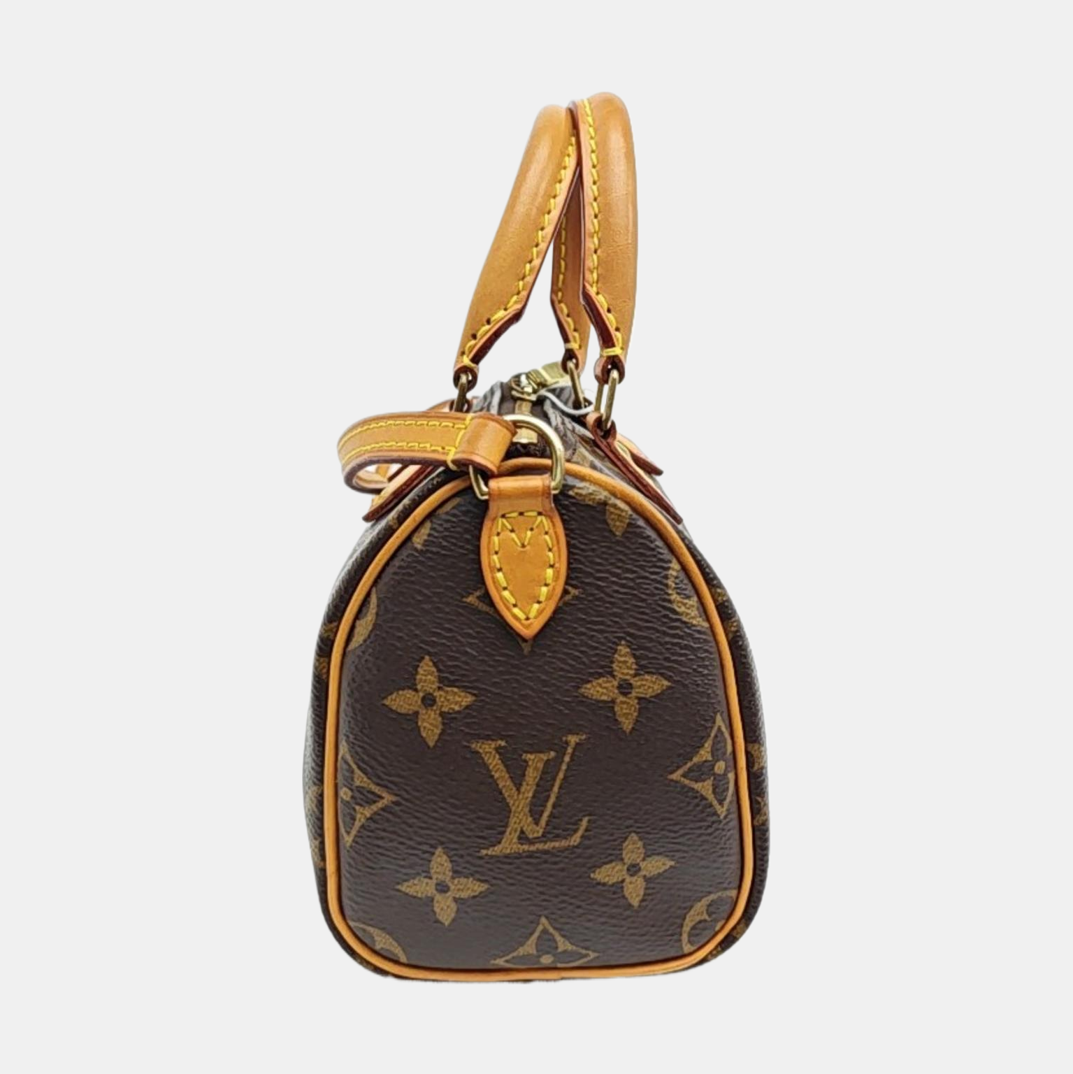 SPEEDY Nano Monogram Coated Canvas Brown