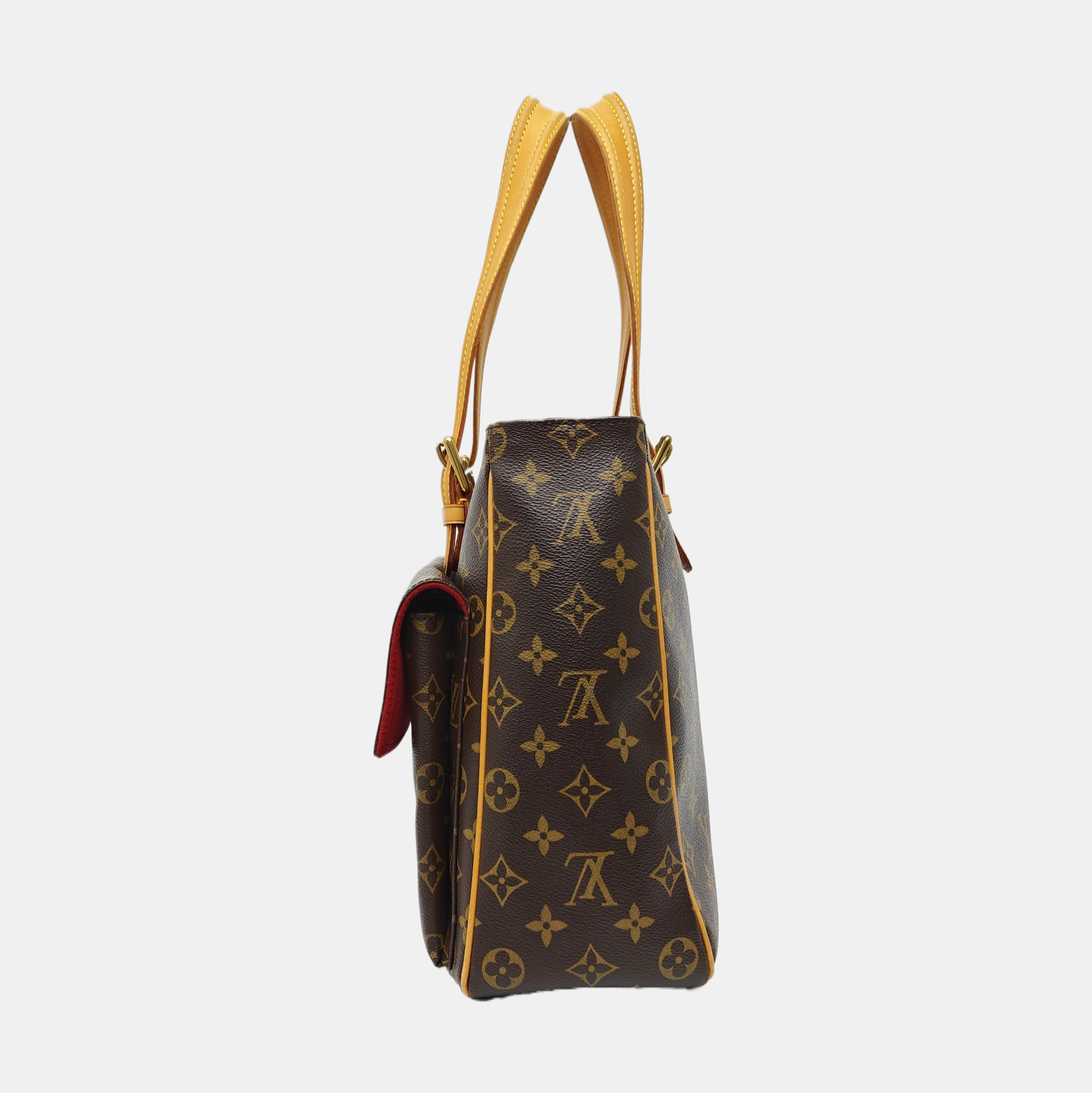 MULTIPLE Monogram Coated Canvas Brown