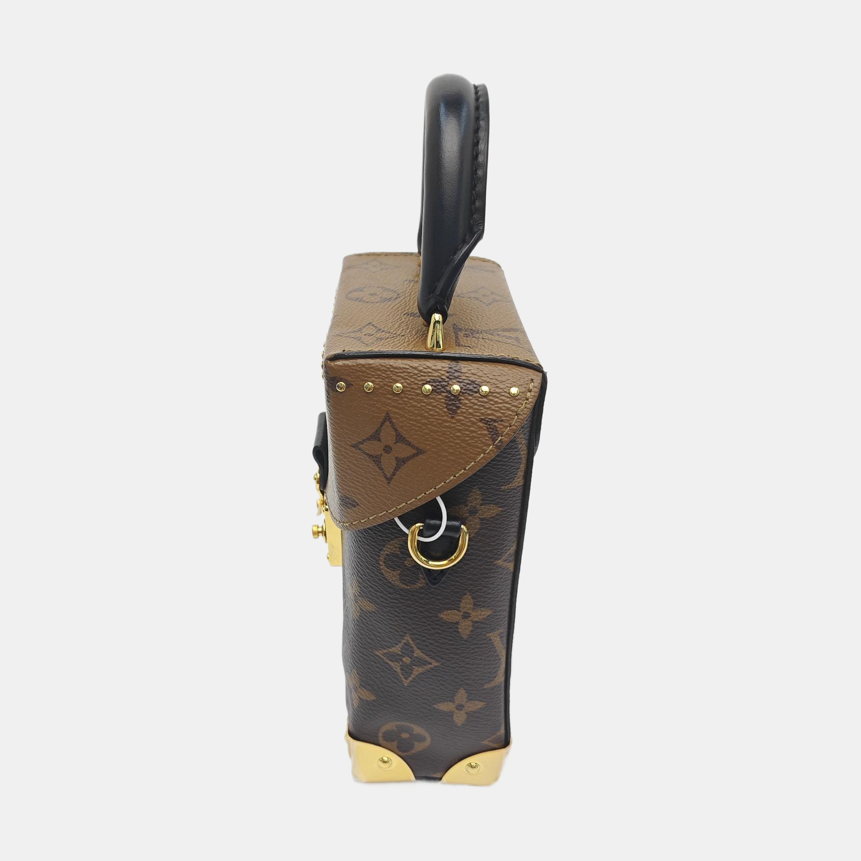 CAMERA BOX Monogram Coated Canvas Brown