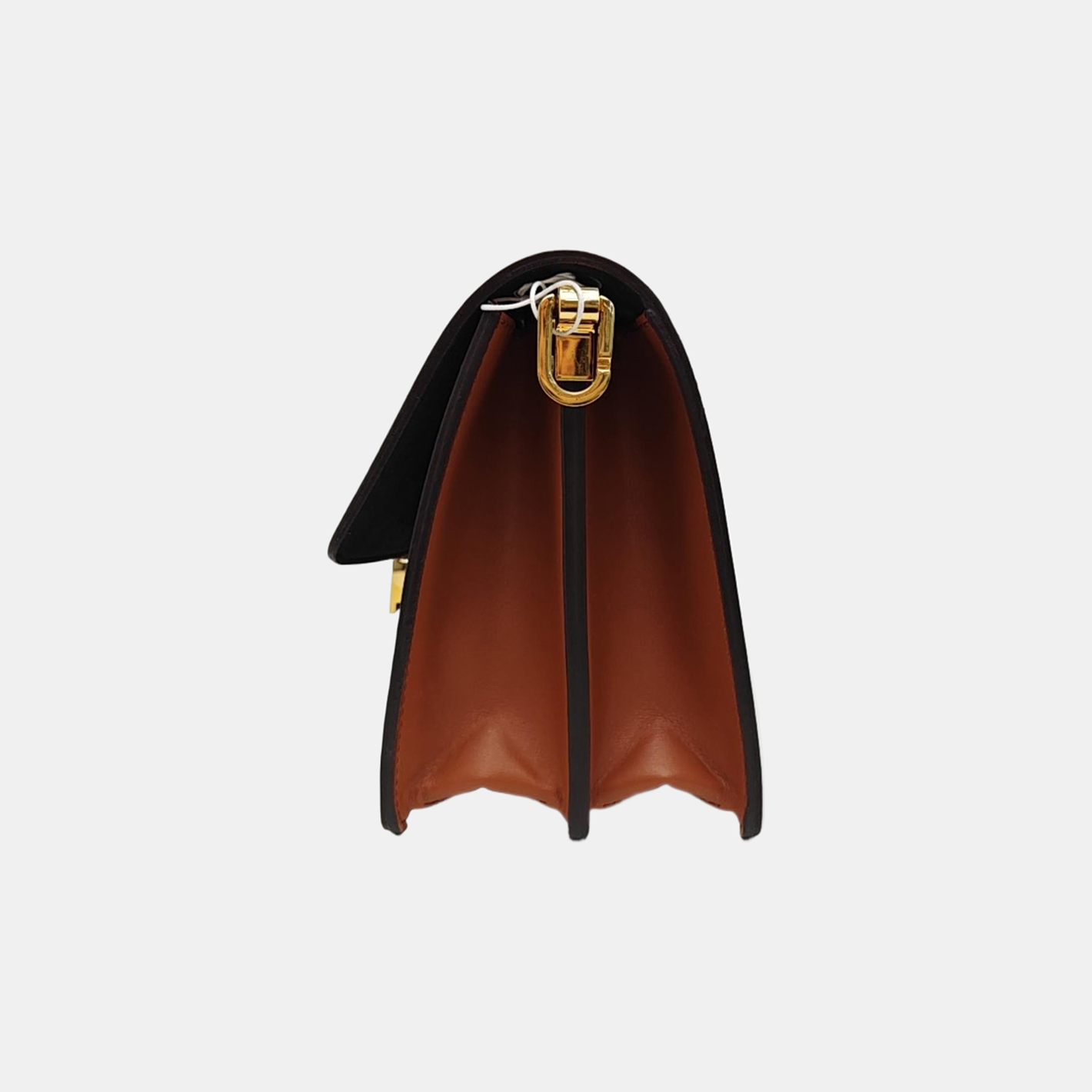 DAUPHINE MM Monogram Coated Canvas Brown
