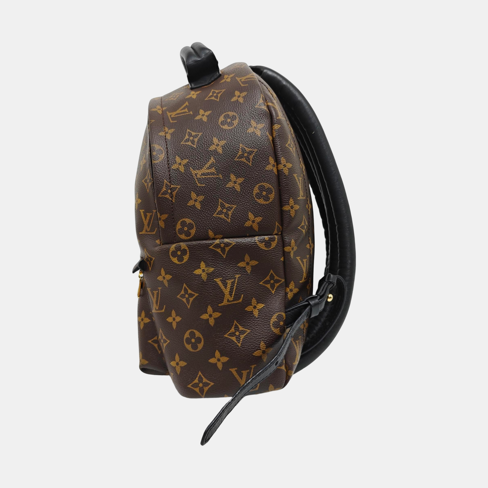 PALM SPRINGS MM Monogram Coated Canvas Brown