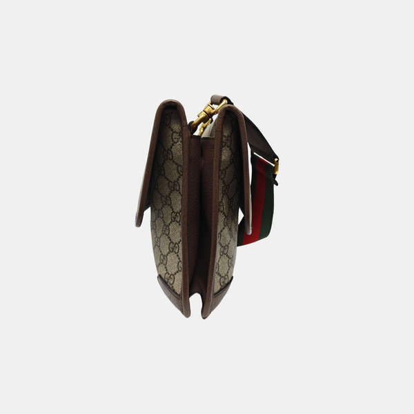 Neo Vintage Large Monogram Coated Canvas Brown