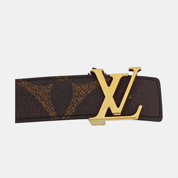 Coated Canvas Belt Brown