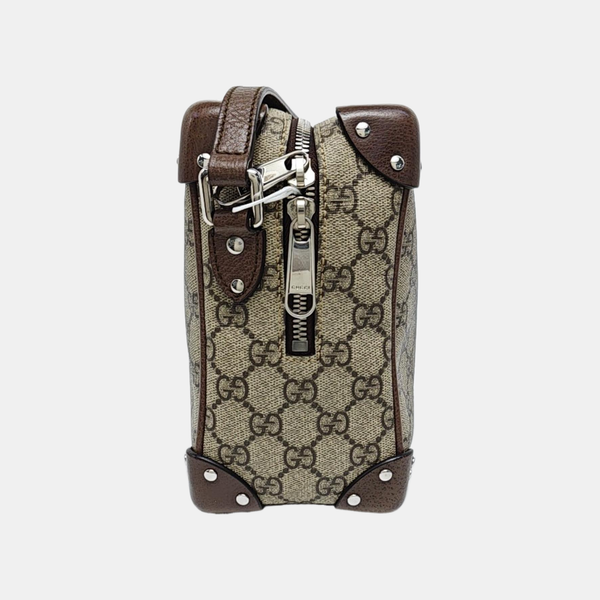 Trunk Monogram Coated Canvas Brown
