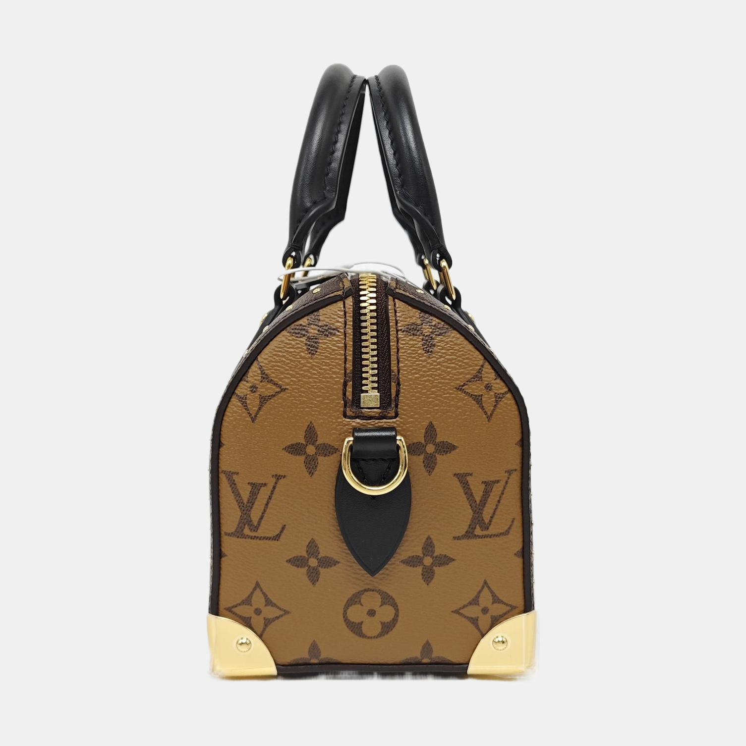 SPEEDY TRUNK 20 Monogram Coated Canvas Brown