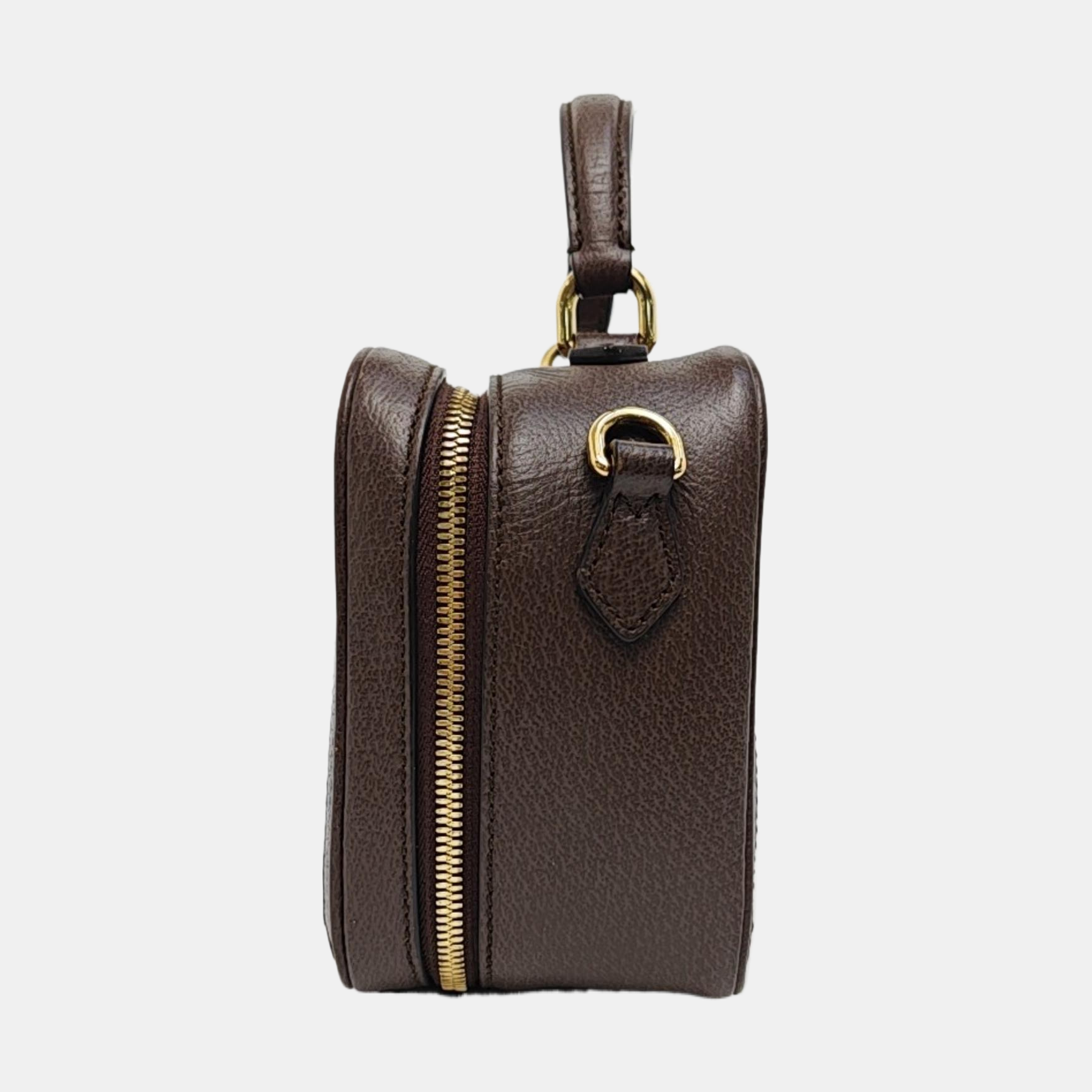 Ophidia Mini Monogram Coated Canvas Beige