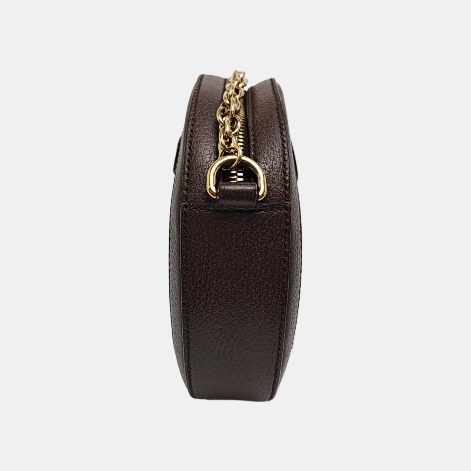 Ophidia Mini Monogram Coated Canvas Beige