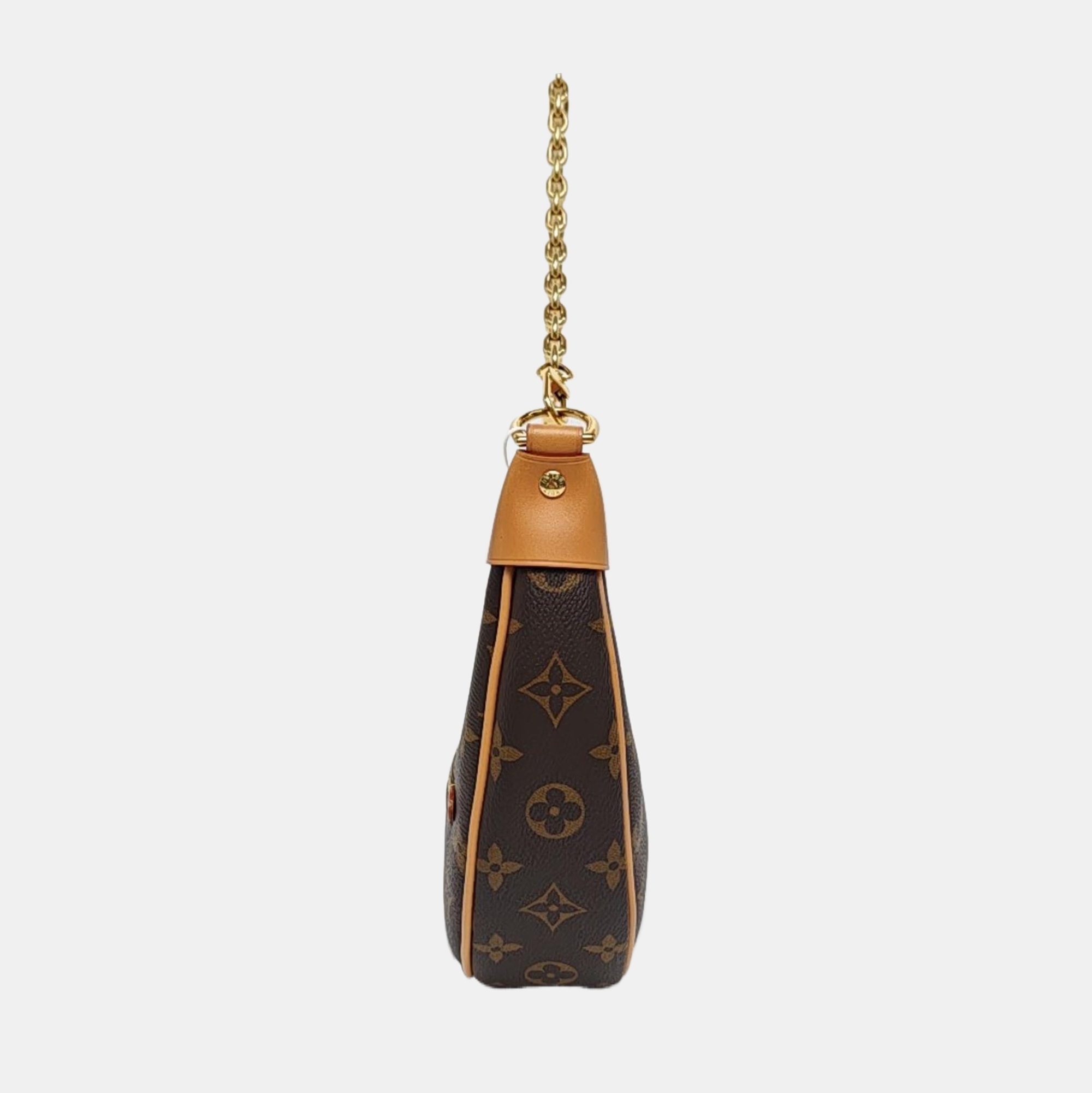 LOOP Monogram Coated Canvas Brown