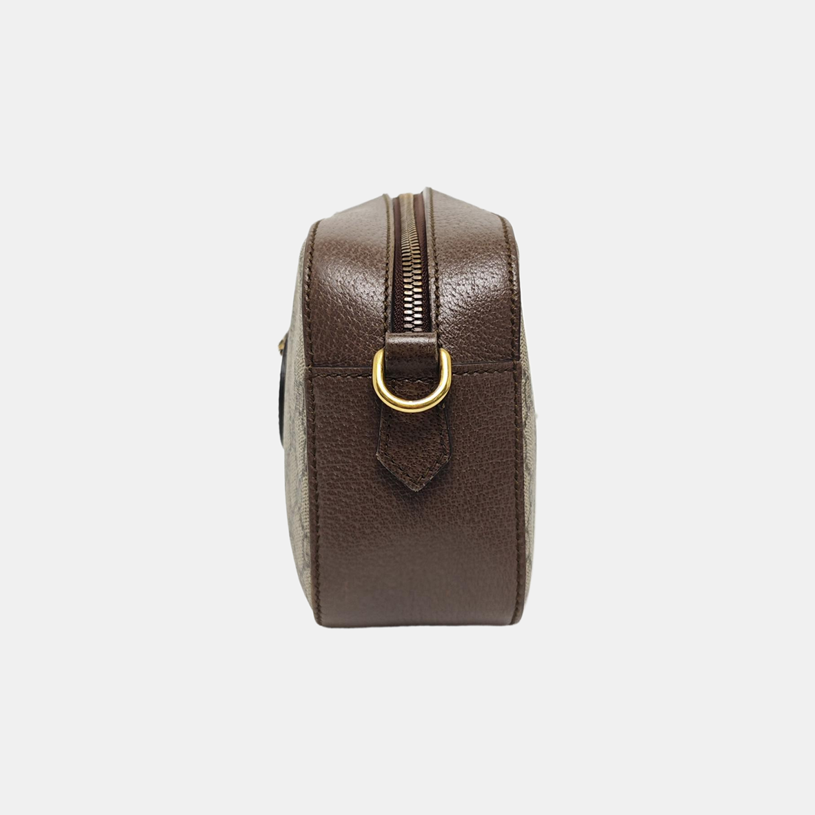 Neo Vintage Monogram Coated Canvas Beige