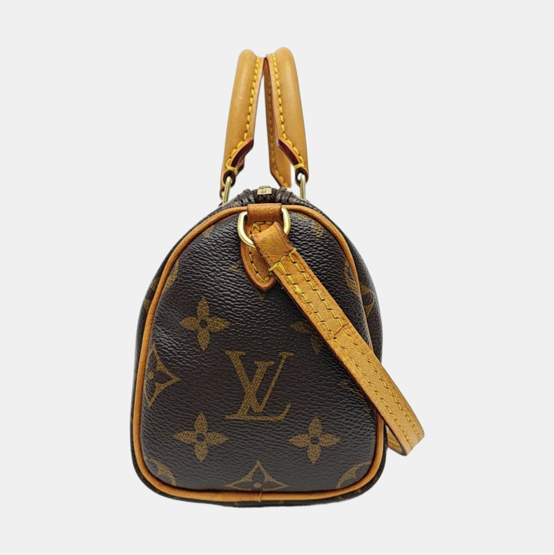 SPEEDY Nano Monogram Coated Canvas Brown