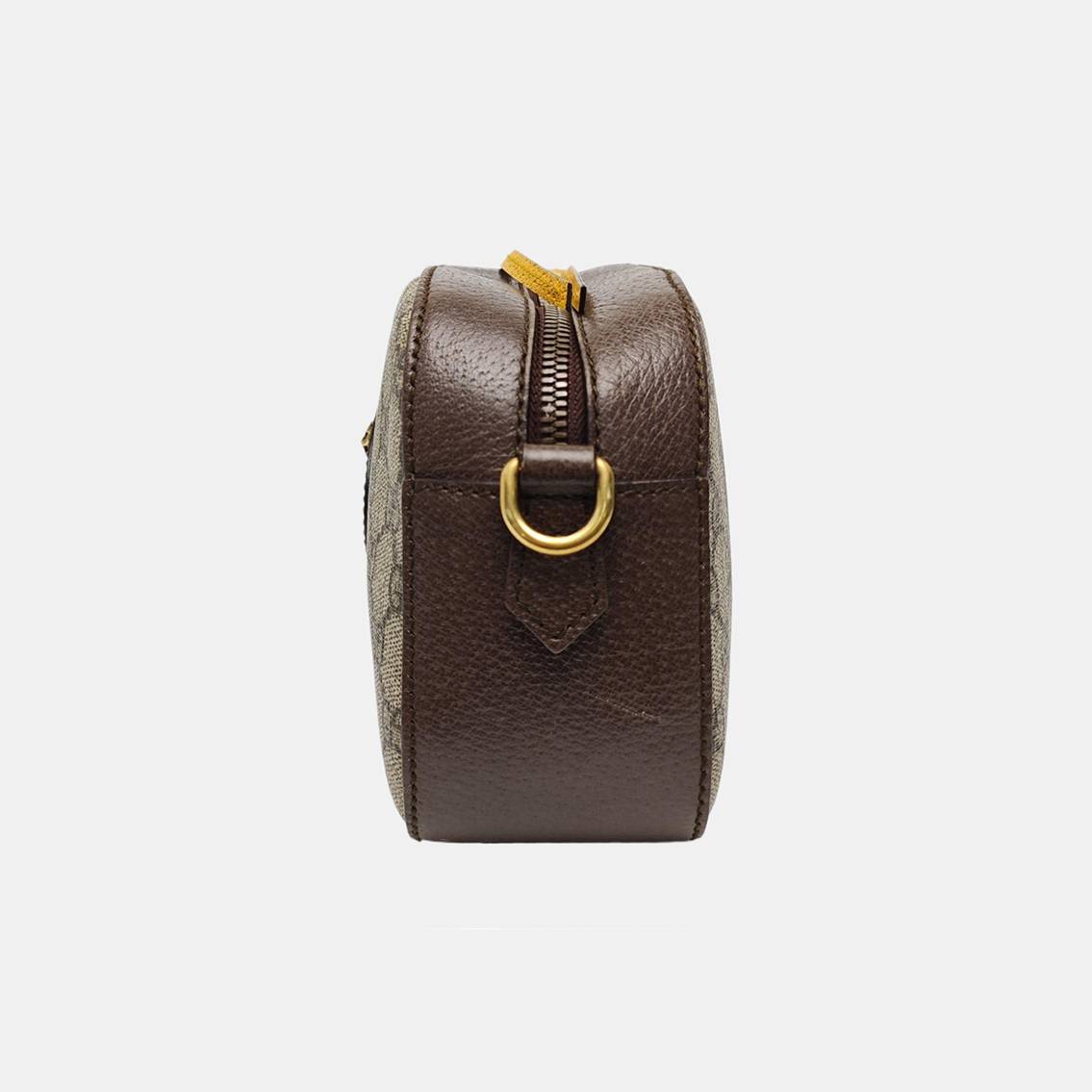 Neo Vintage Monogram Coated Canvas Beige