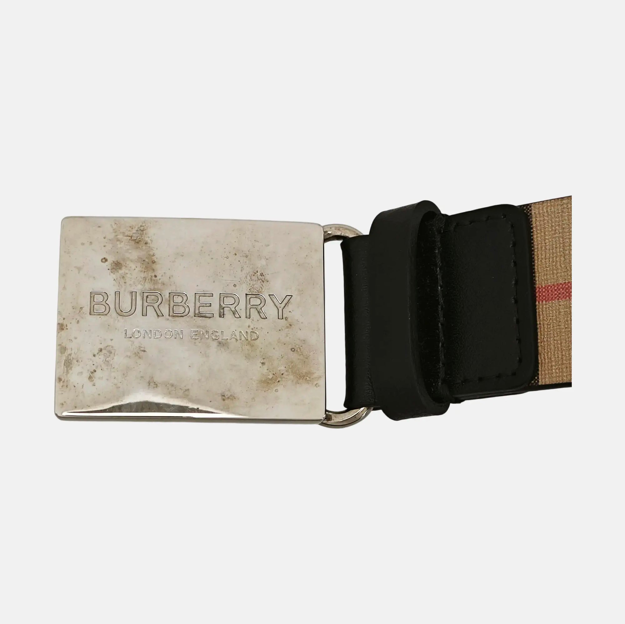Coated Canvas Belt Beige