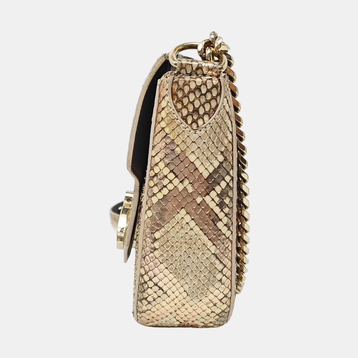 DIVAS' DREAM Python Multicolor