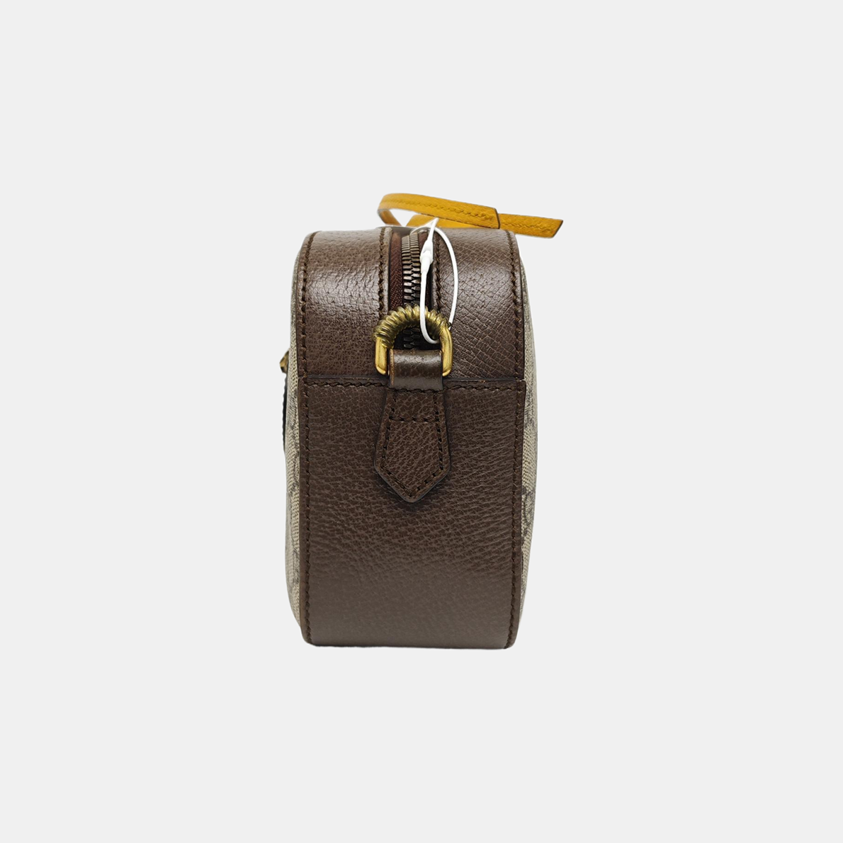 Neo Vintage Monogram Coated Canvas Beige