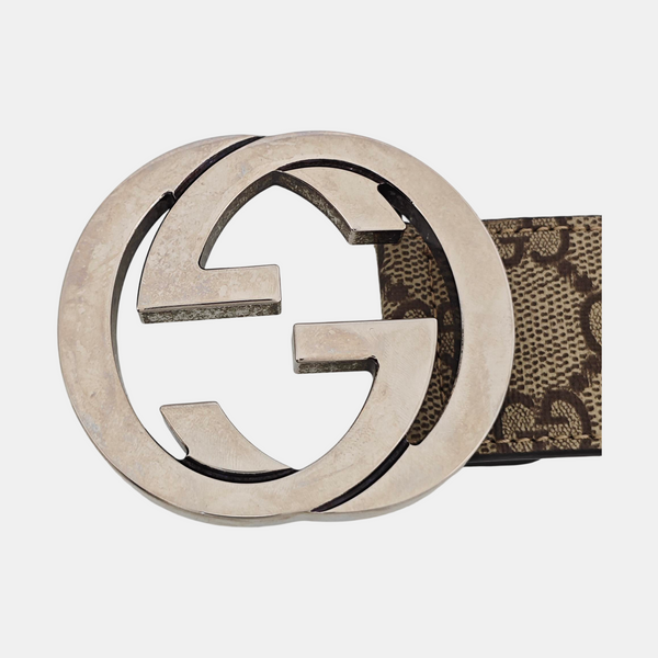 Coated Canvas Belt Beige