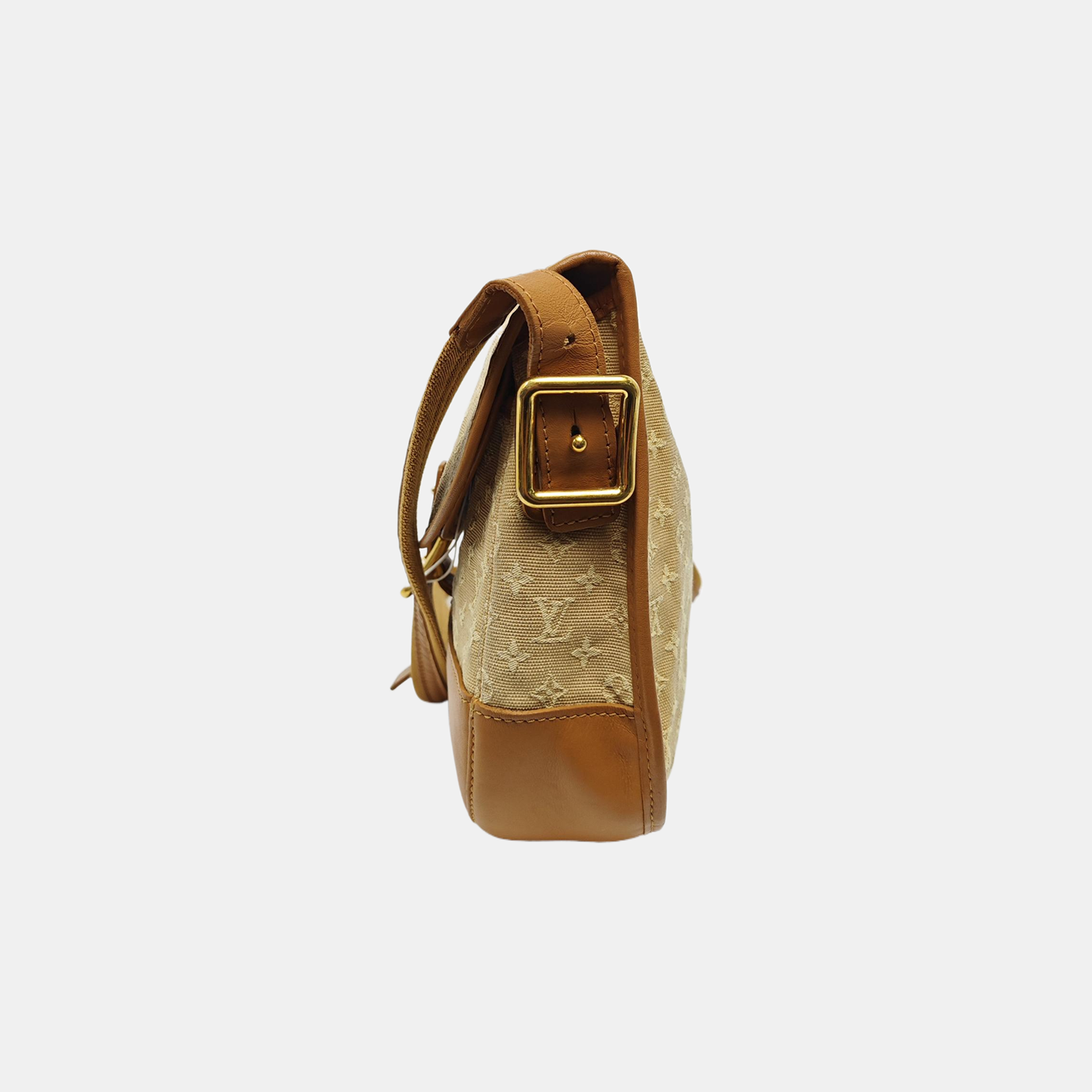 BERANGERE Monogram Canvas Brown