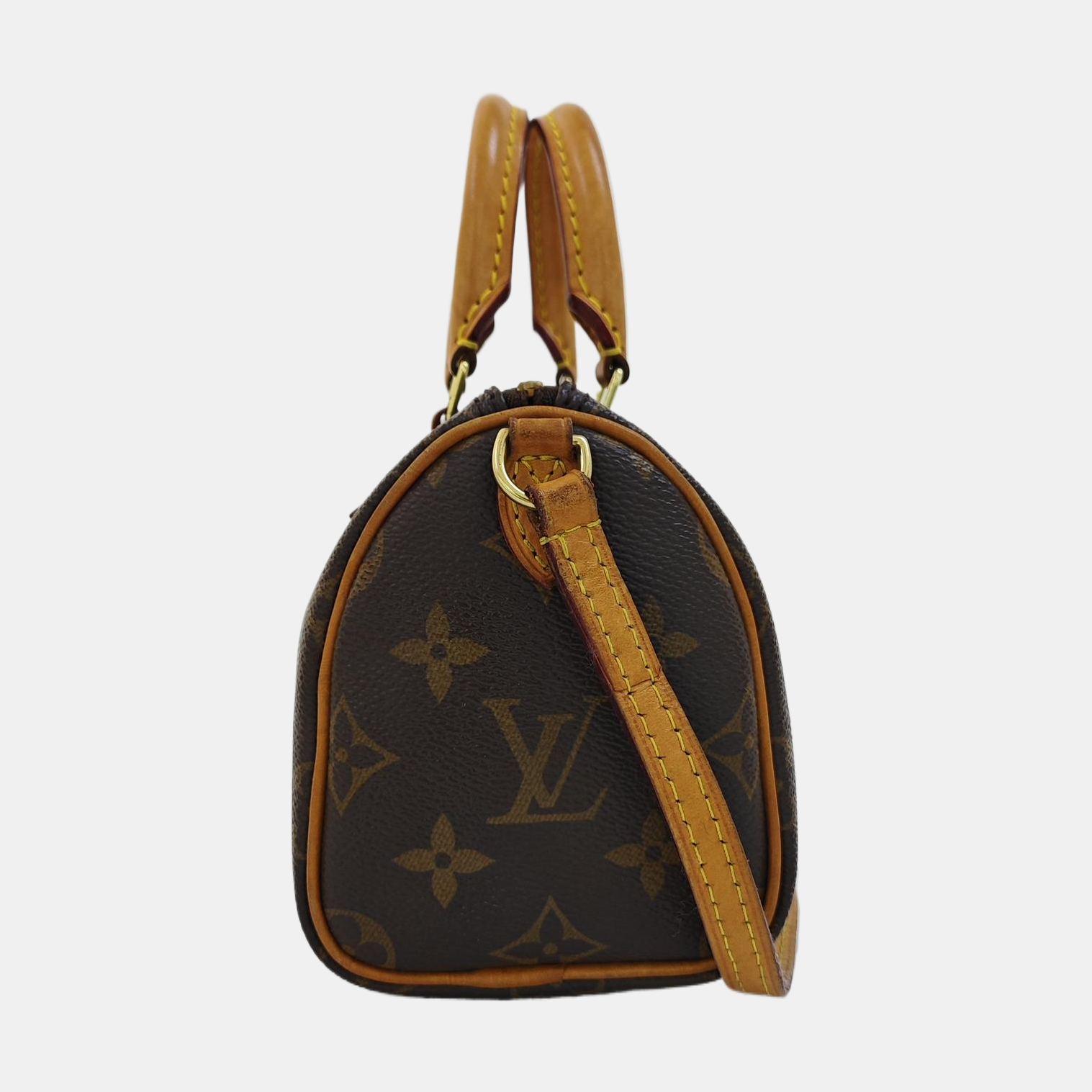 SPEEDY Nano Monogram Coated Canvas Brown