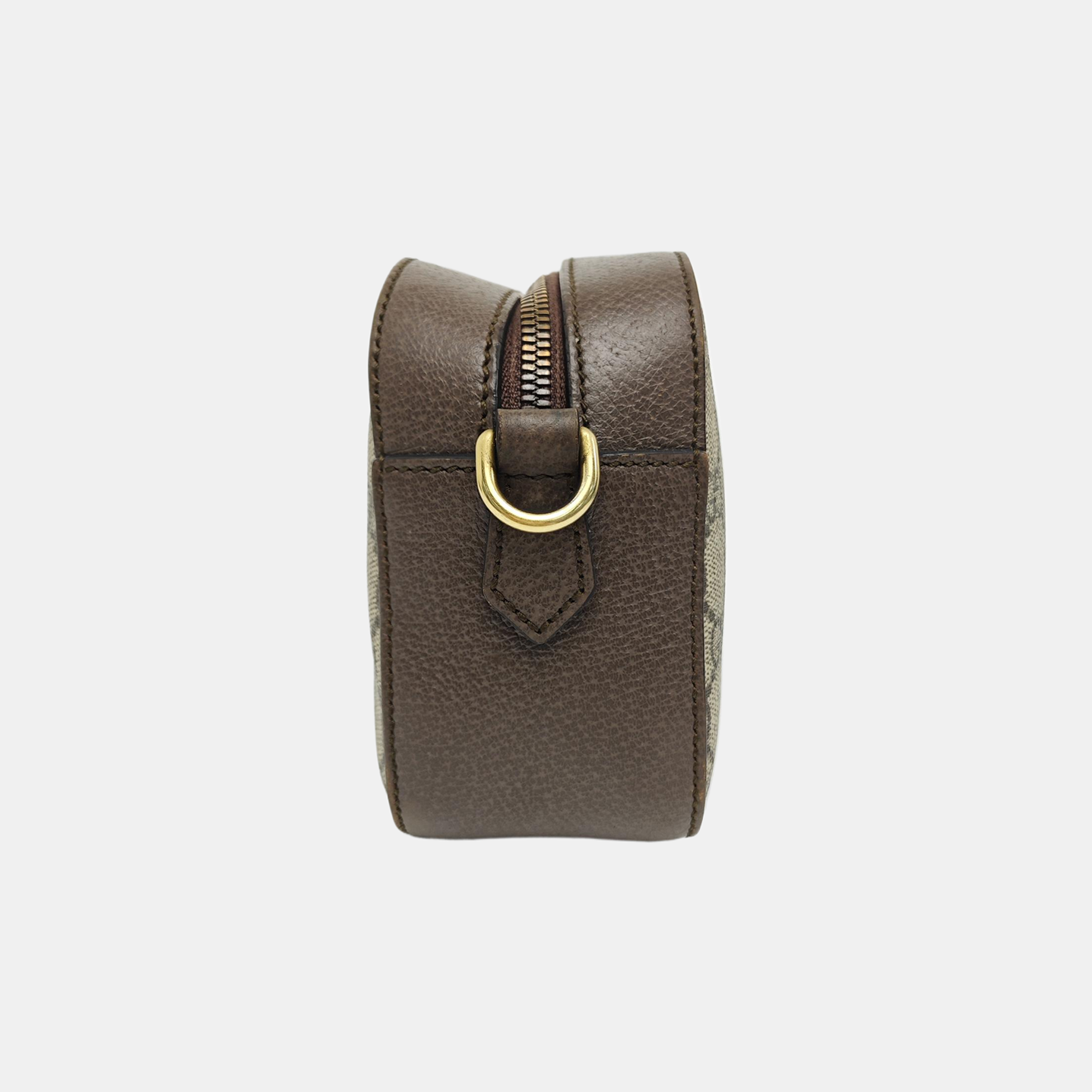 Neo Vintage Monogram Coated Canvas Beige