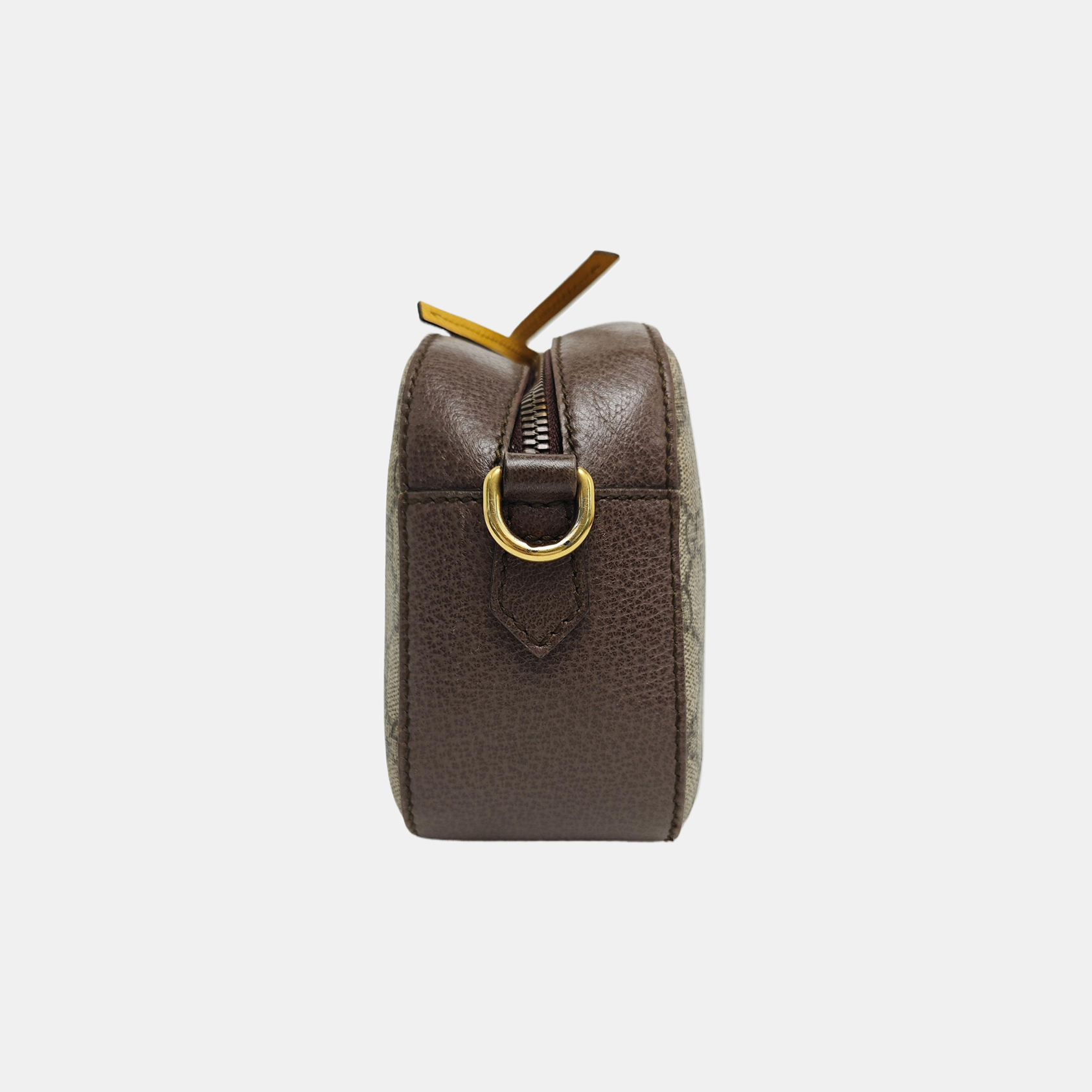 Neo Vintage Monogram Coated Canvas Beige