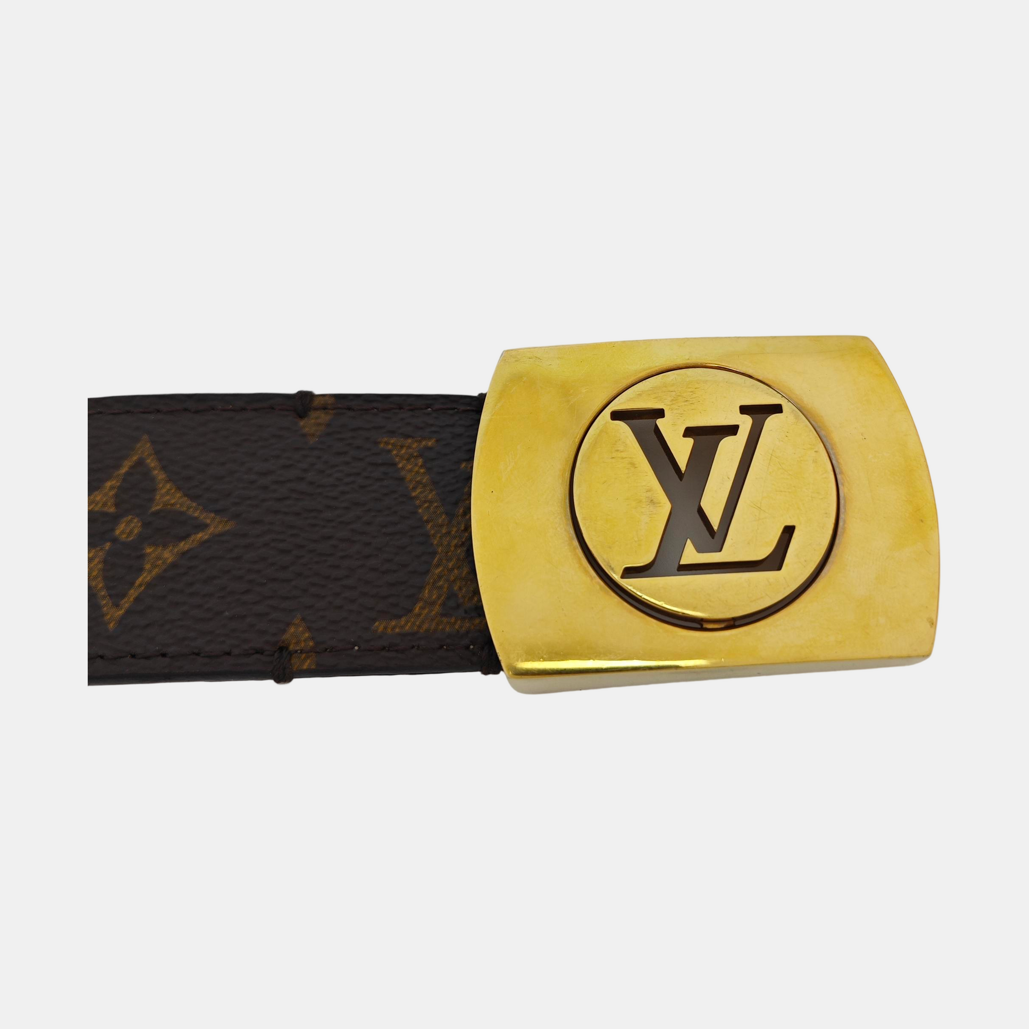 Coated Canvas Belt Brown
