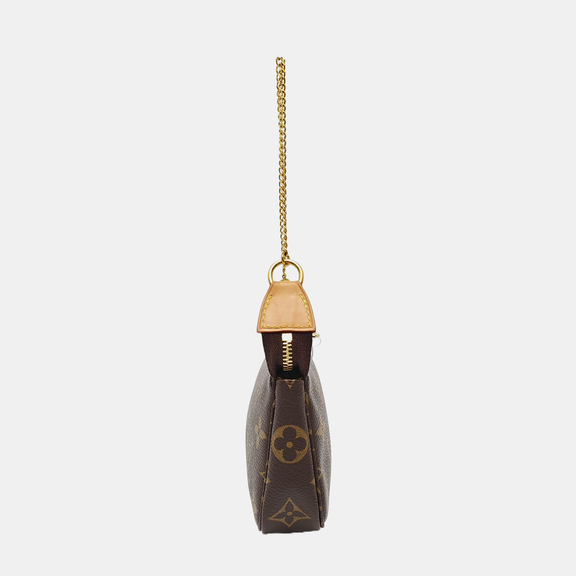 ACCESSOIRES Mini Monogram Coated Canvas Brown