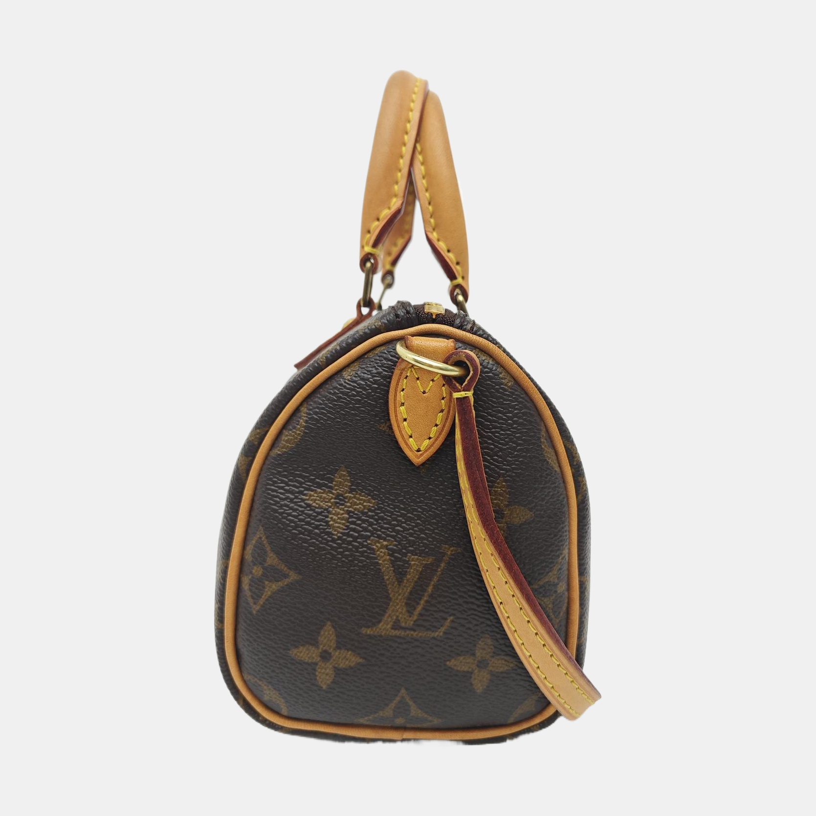 SPEEDY Nano Monogram Coated Canvas Brown