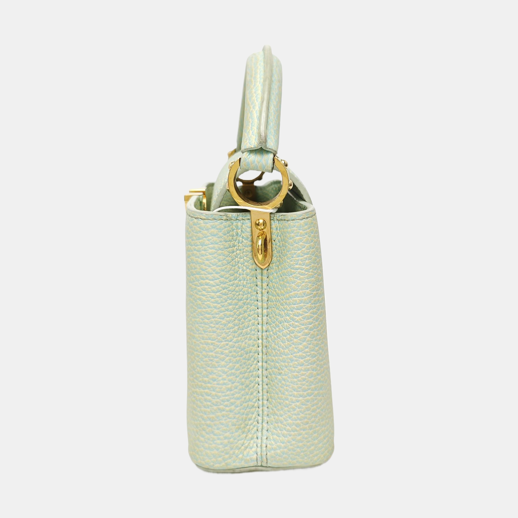 CAPUCINES Mini Calfskin Green
