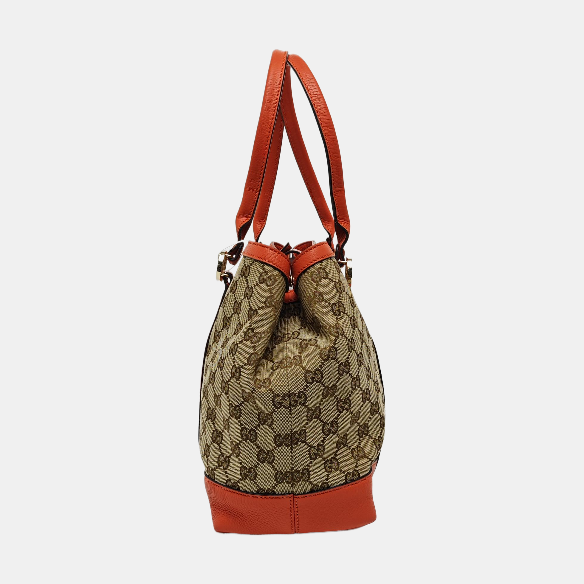 Miss GG Monogram Canvas Brown
