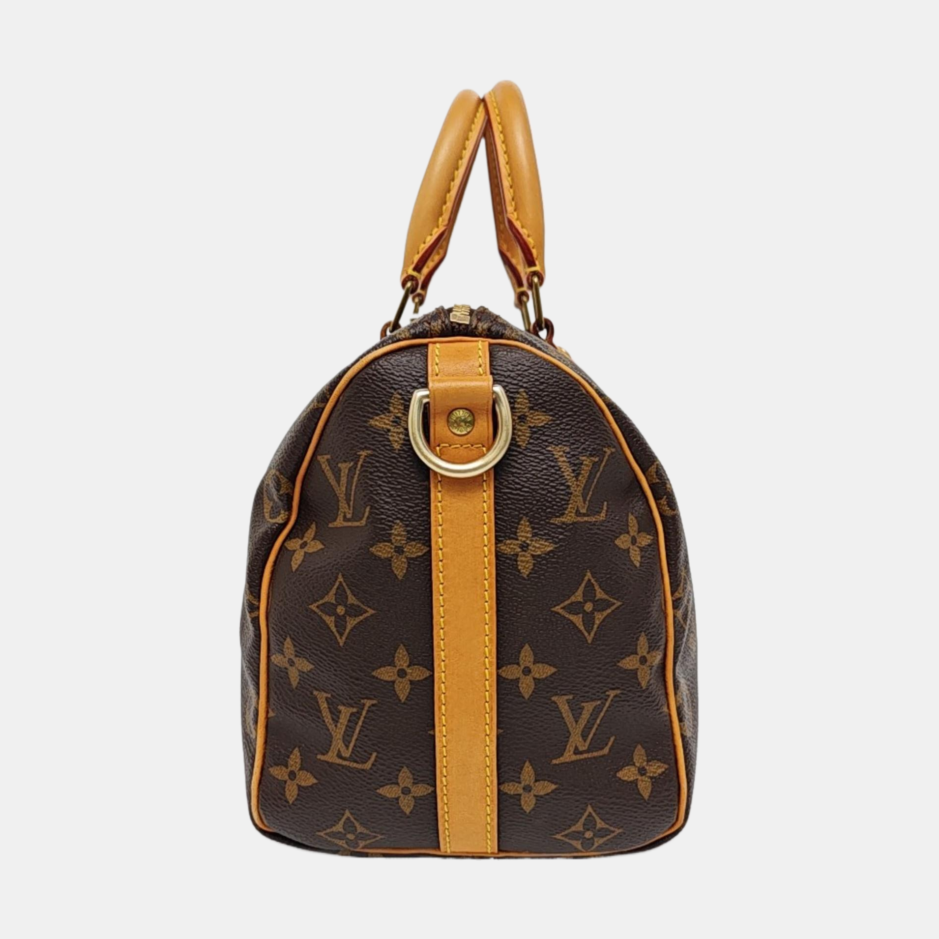 SPEEDY 25 Monogram Coated Canvas Brown