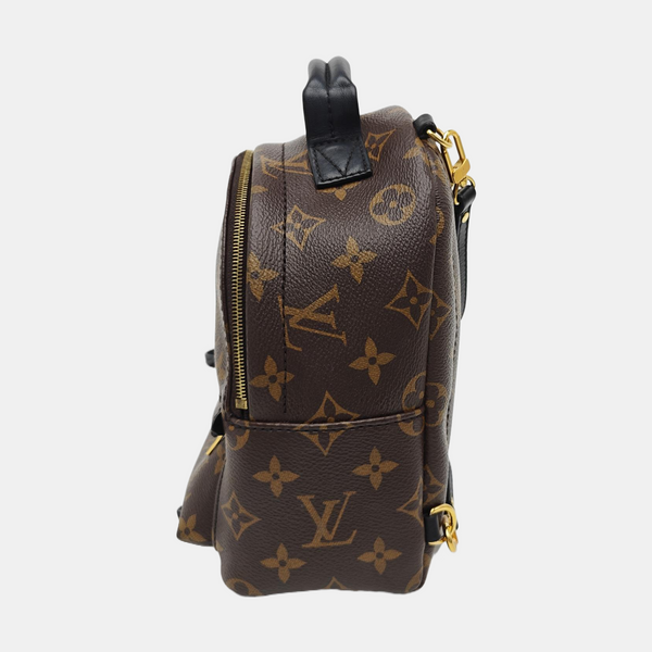 PALM SPRINGS Mini Monogram Coated Canvas Brown
