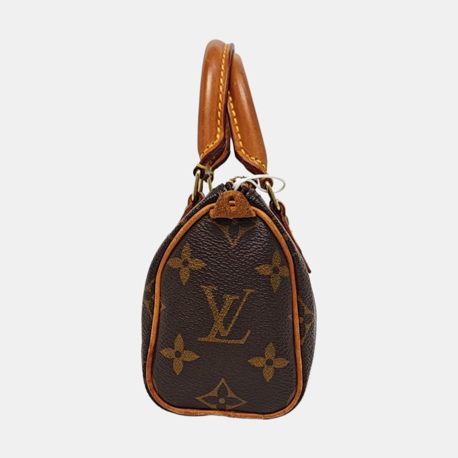 SPEEDY Nano Monogram Coated Canvas Brown
