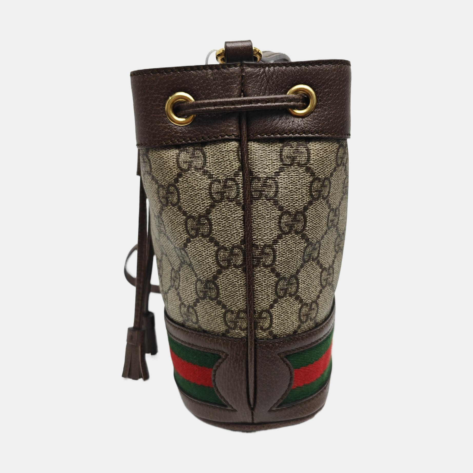 Ophidia Mini Monogram Coated Canvas Beige